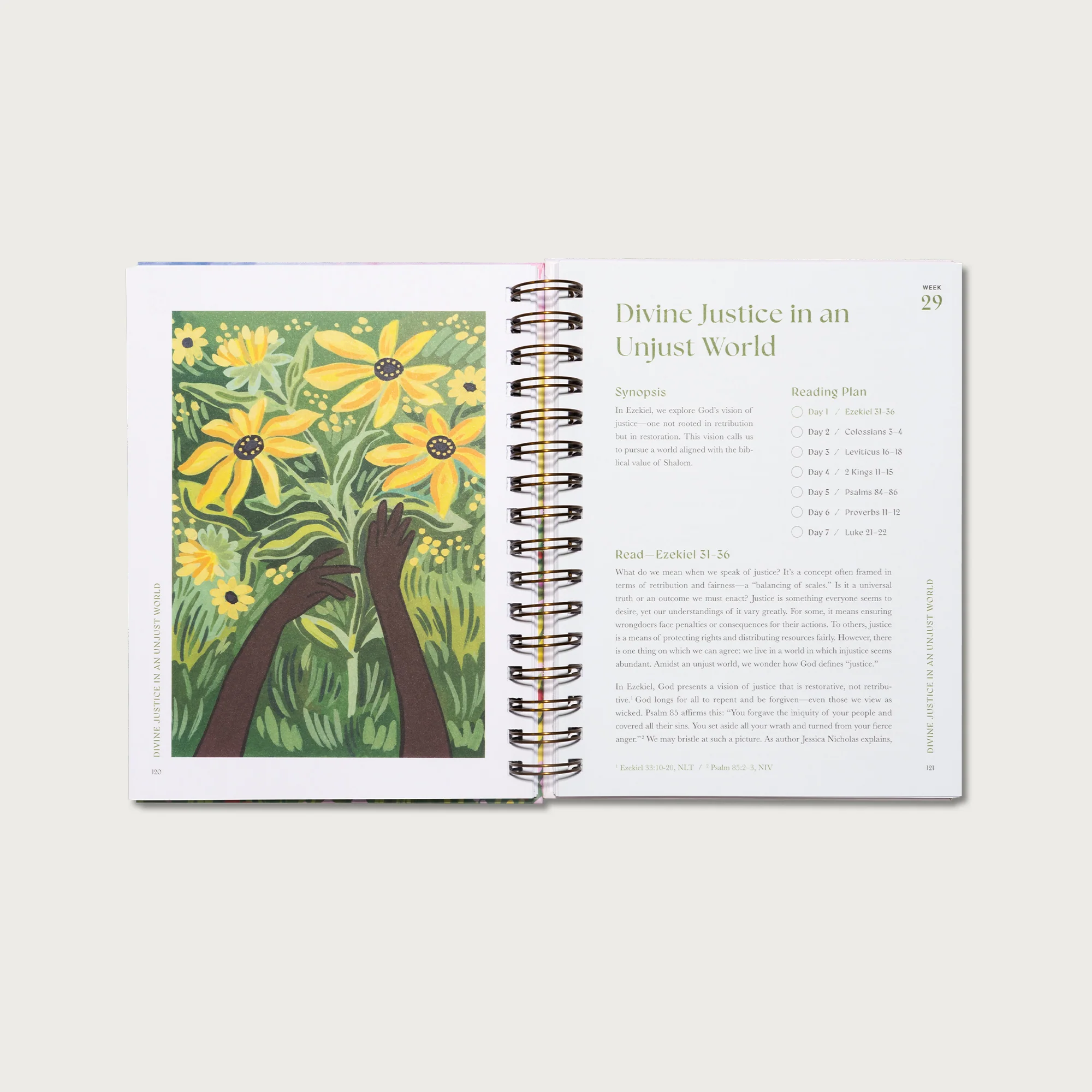 A Beautiful Year in the Bible: The 52-Week Bible Study for Women - Image 10