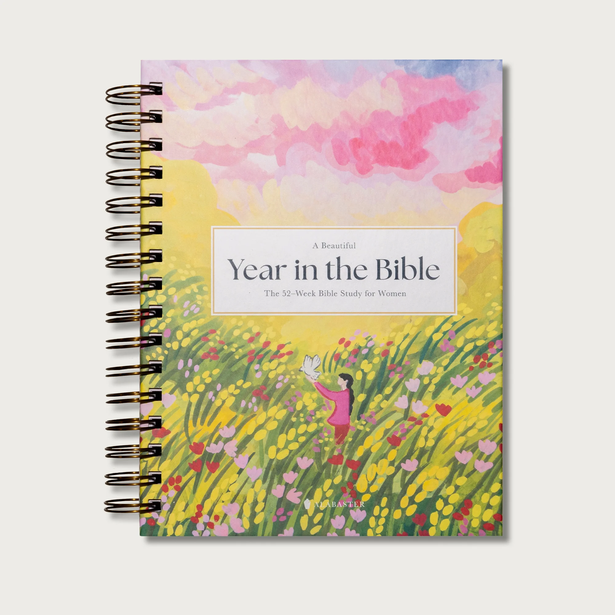 A Beautiful Year in the Bible: The 52-Week Bible Study for Women - Image 9