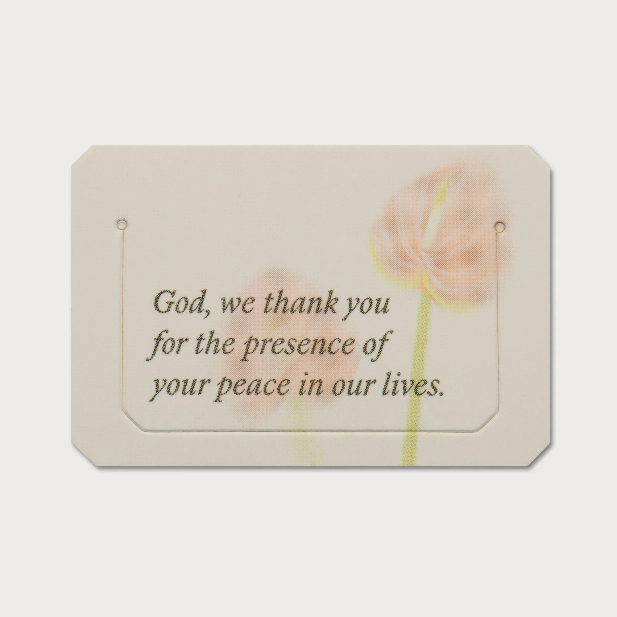 A Beautiful Year with Jesus Bookmark Tabs - Image 6