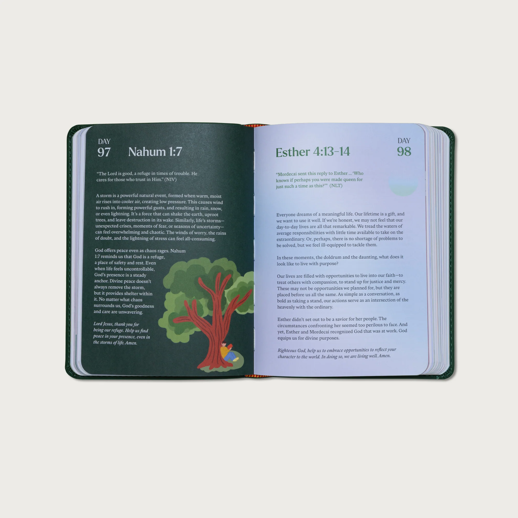 A Beautiful Year with Jesus: The 365 Day Bible Devotional - Image 13