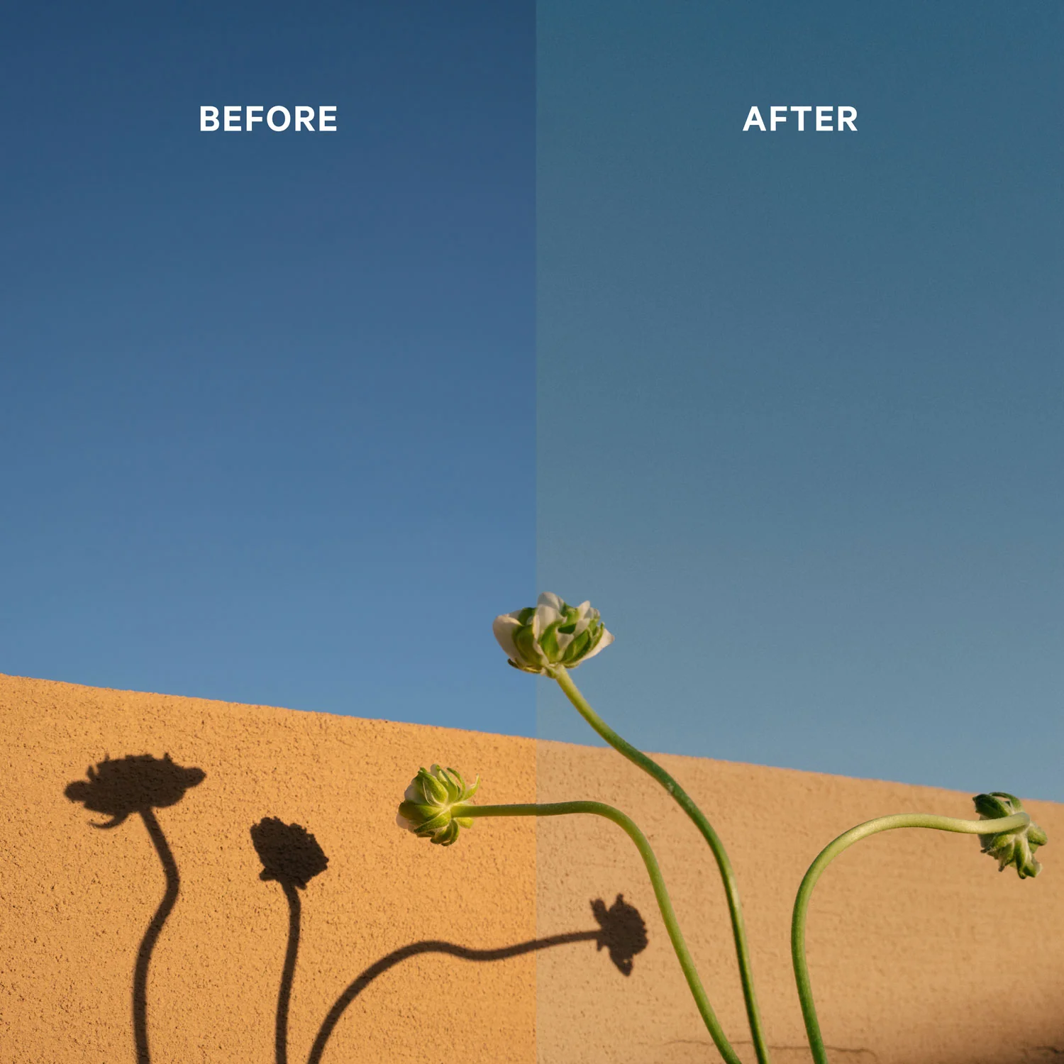 Alabaster Classics Presets - Image 4