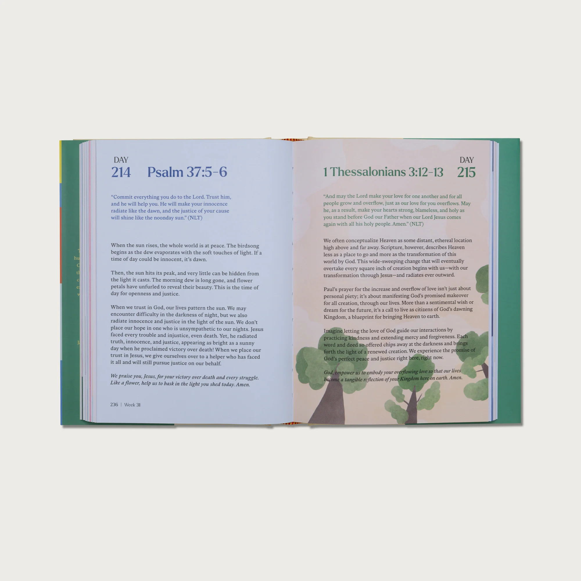 Devotional Gift Bundle - Image 14