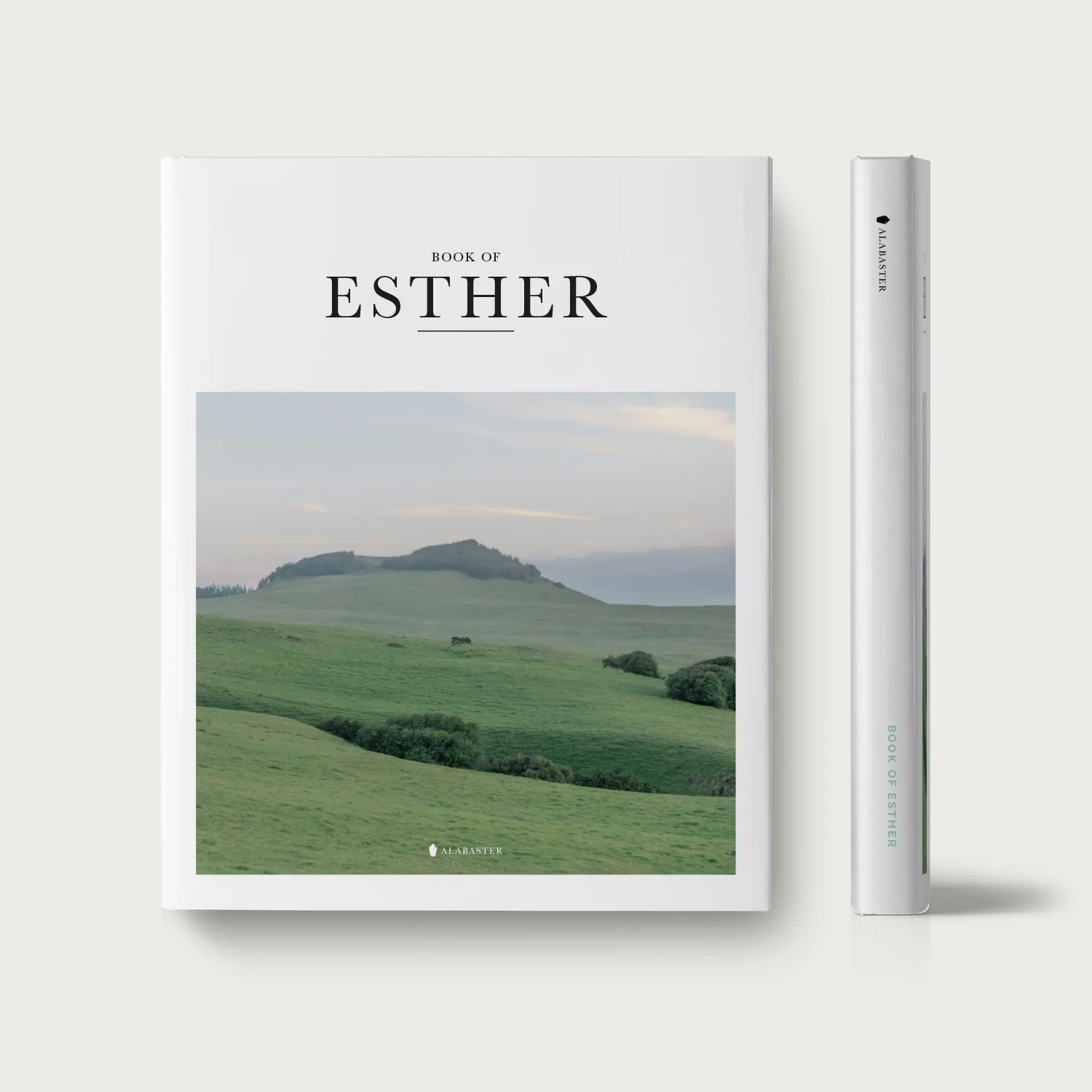 The Book of Esther - Image 7