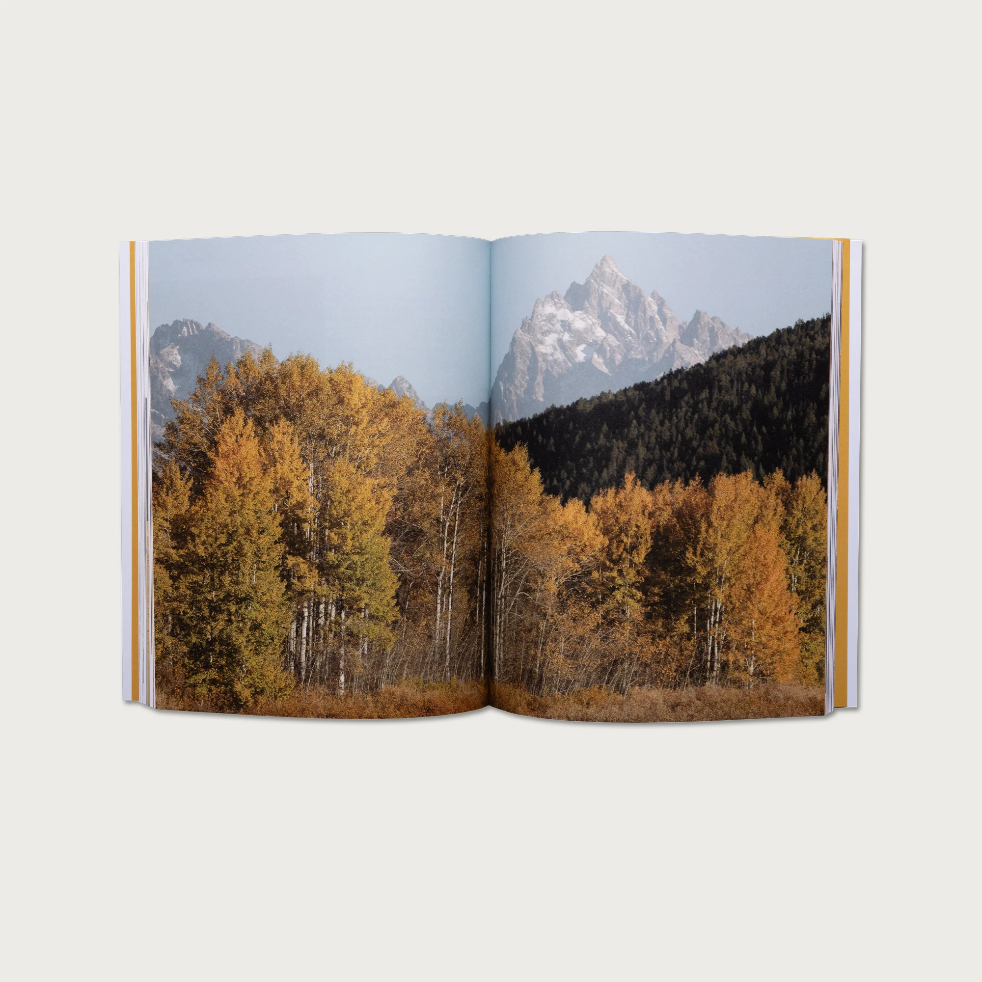 The Book of First & Second Corinthians - Image 3