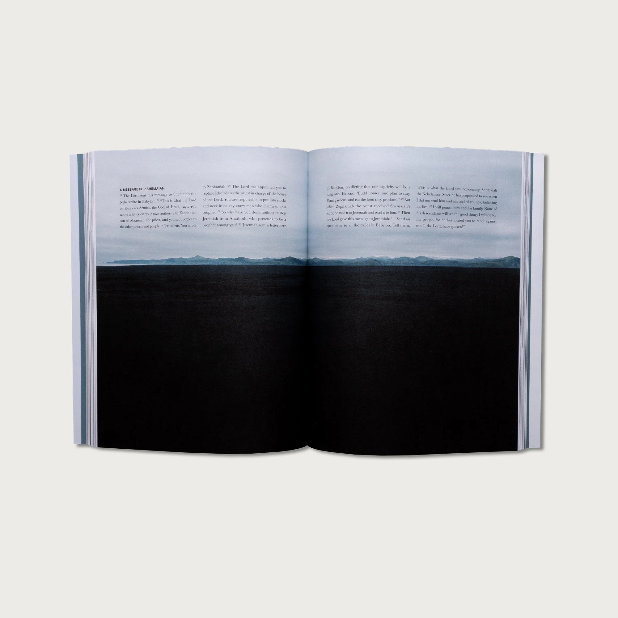 The Book of Jeremiah - Image 5