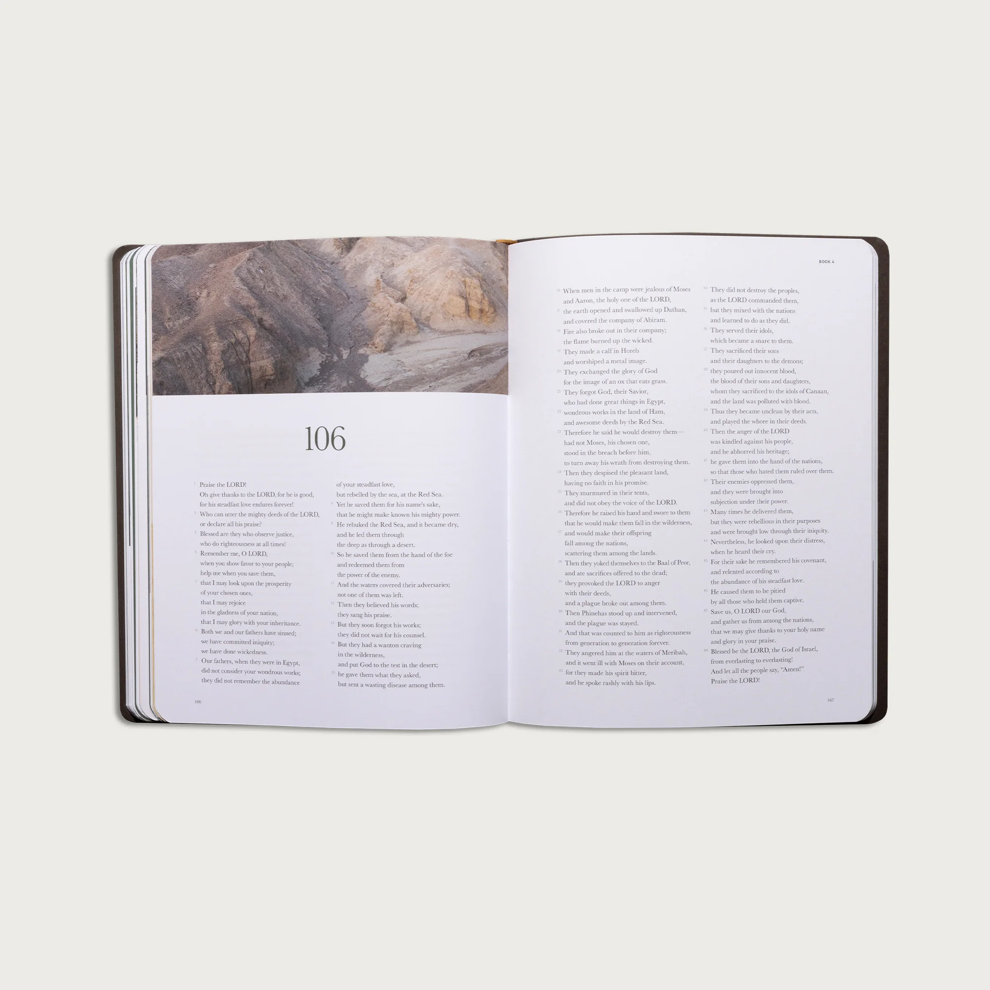 The Book of Psalms - Image 11