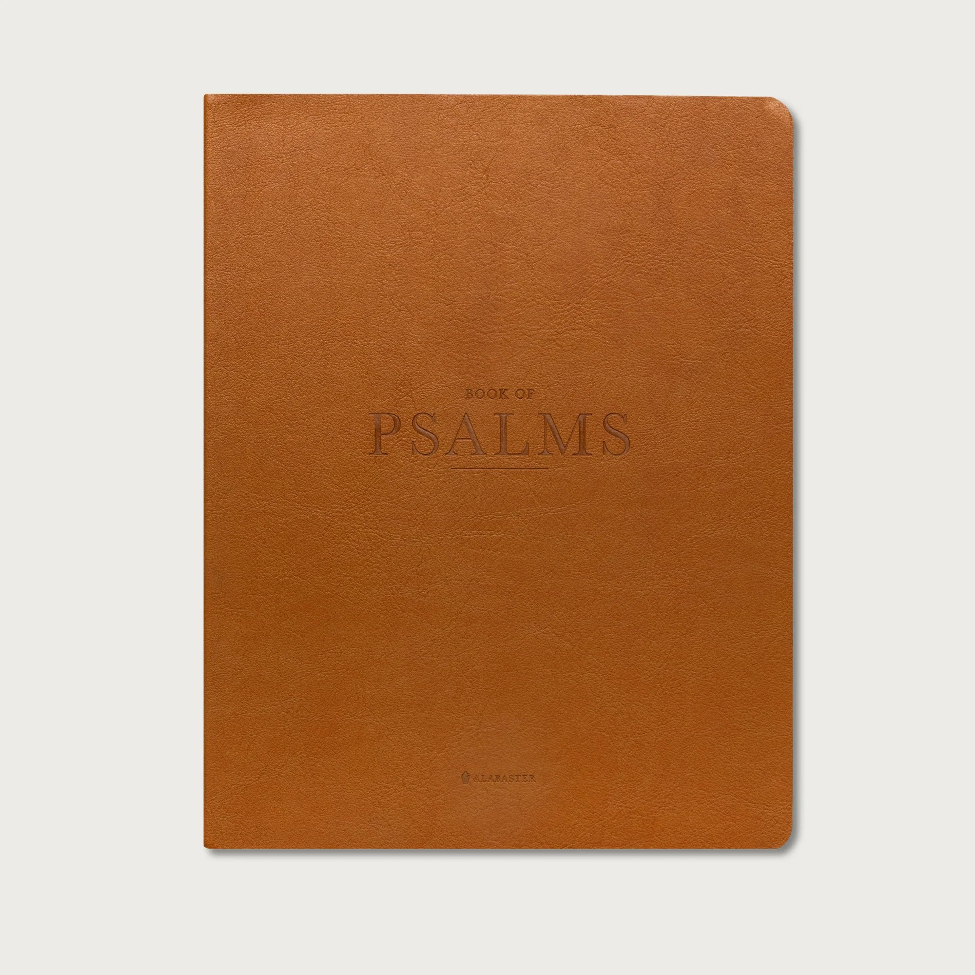 The Book of Psalms - Image 8