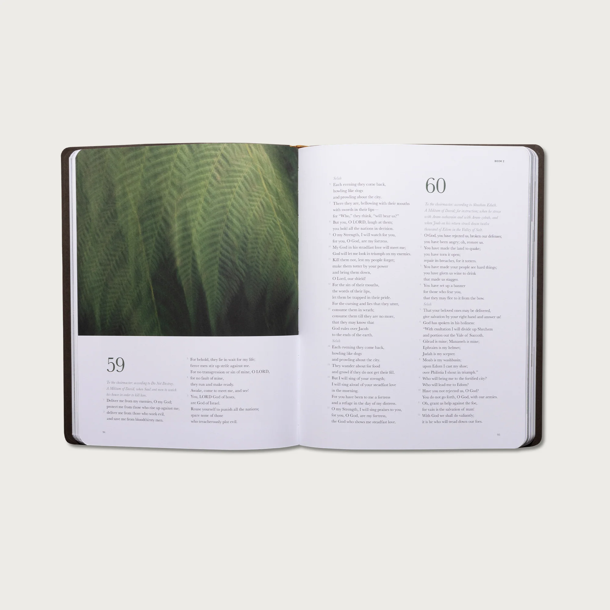 The Book of Psalms - Image 9