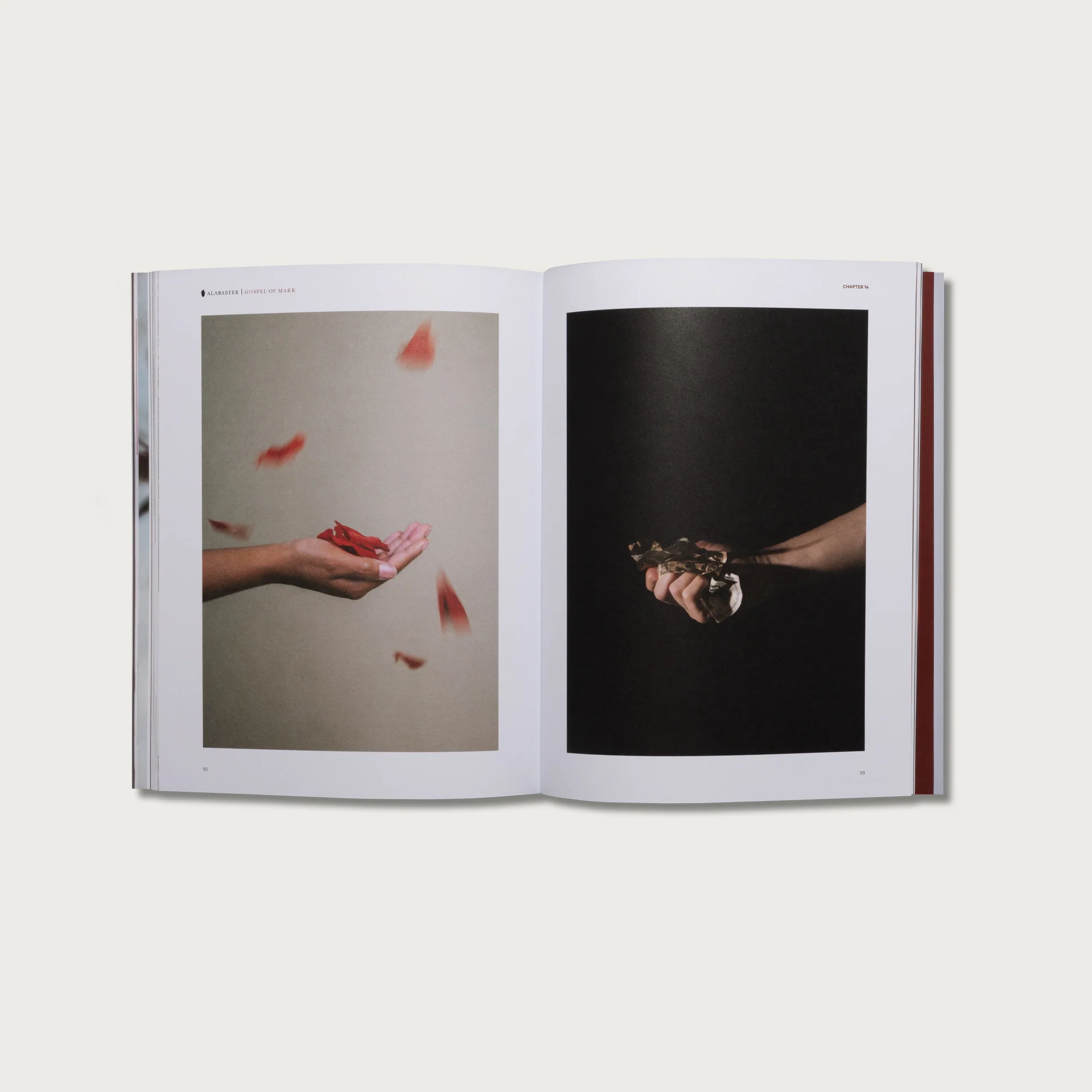 Core Collection - Image 4