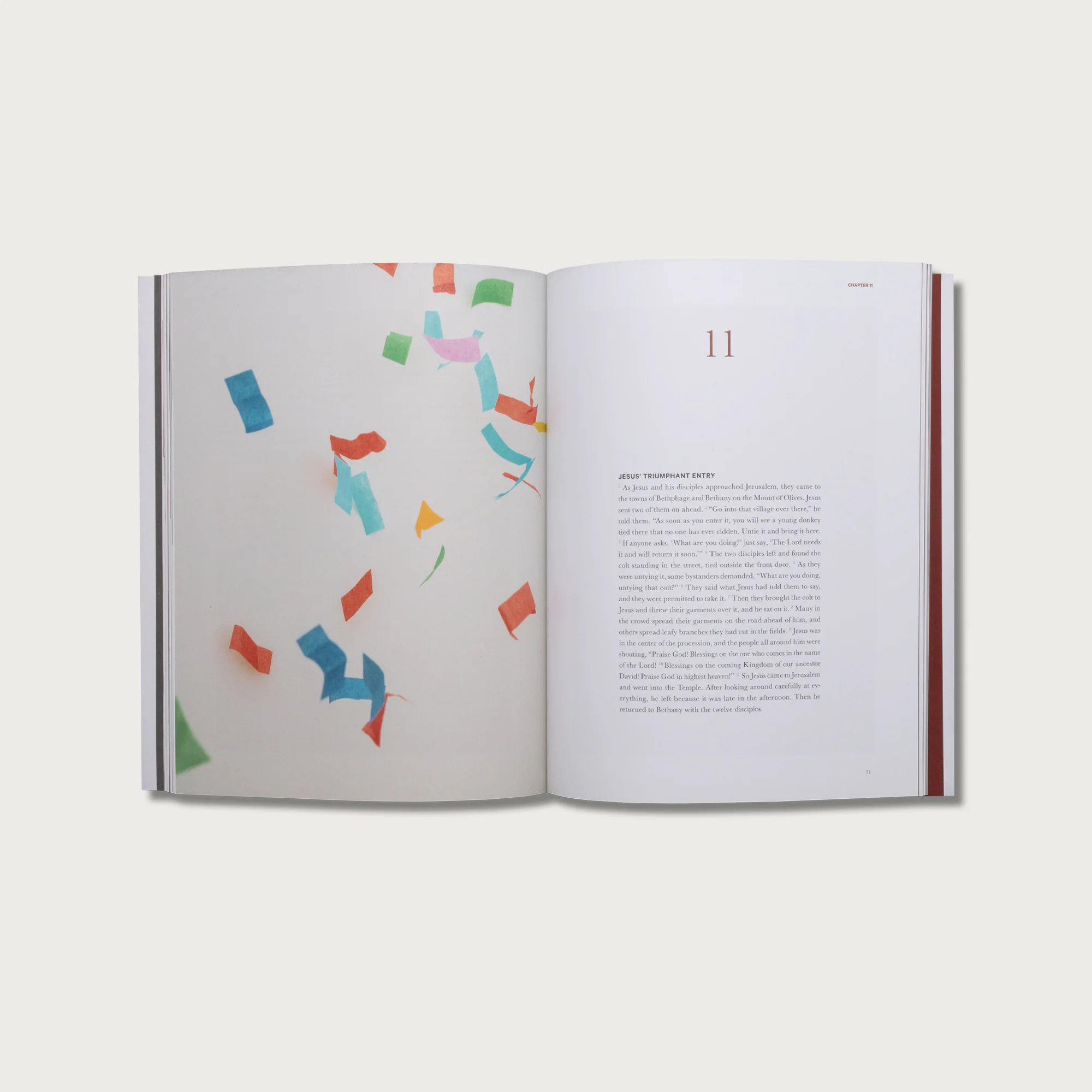 Core Collection - Image 5