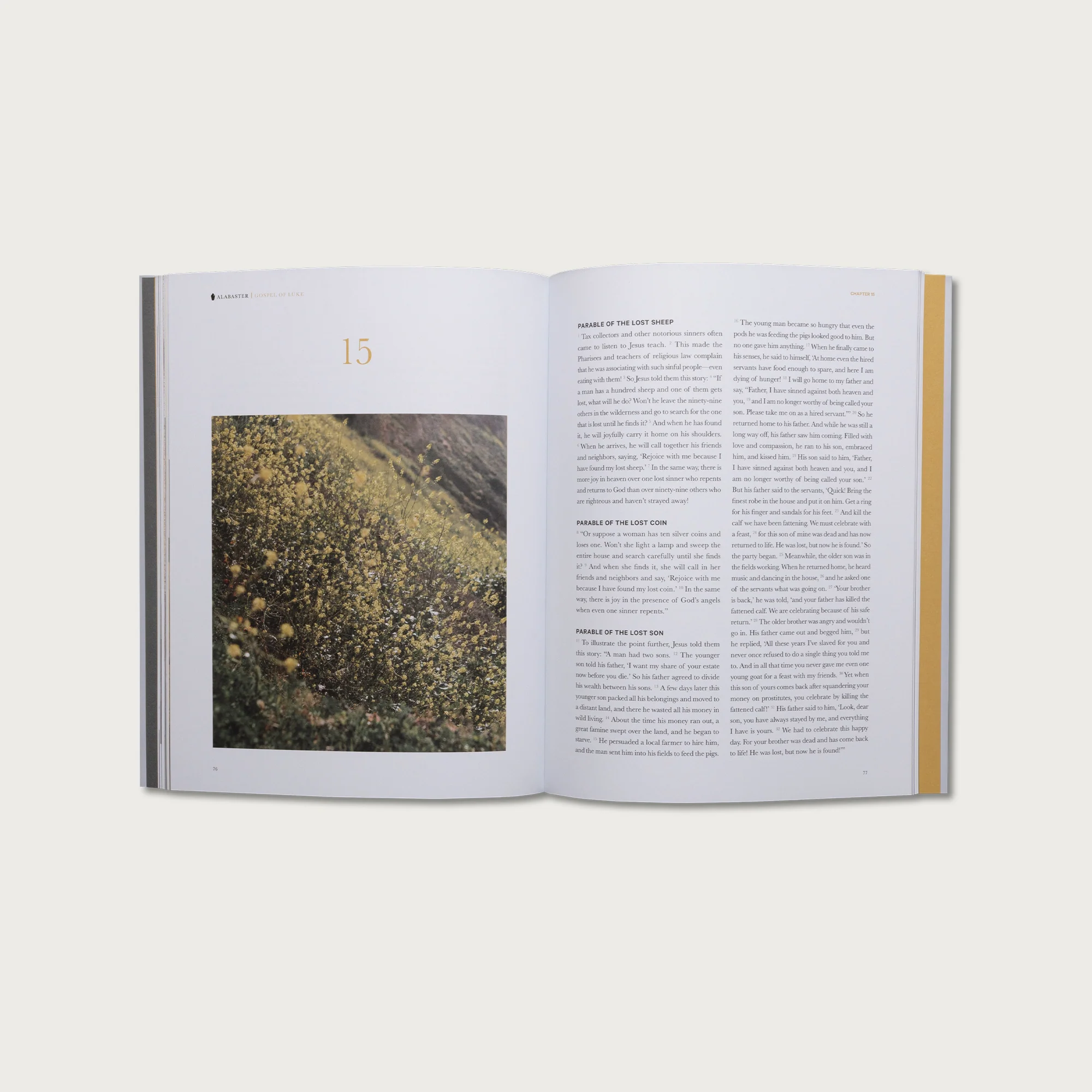 Core Collection - Image 6