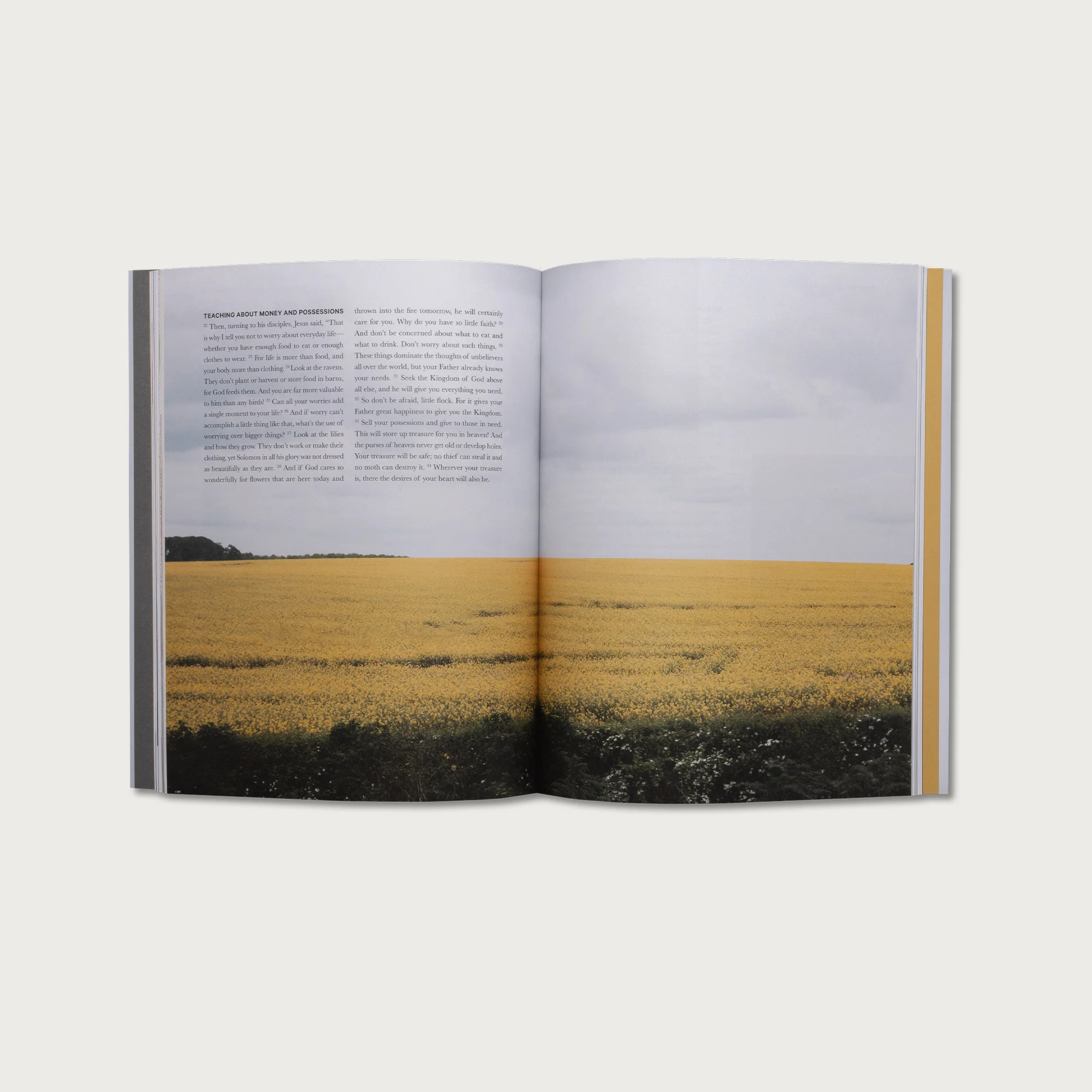 Core Collection - Image 7