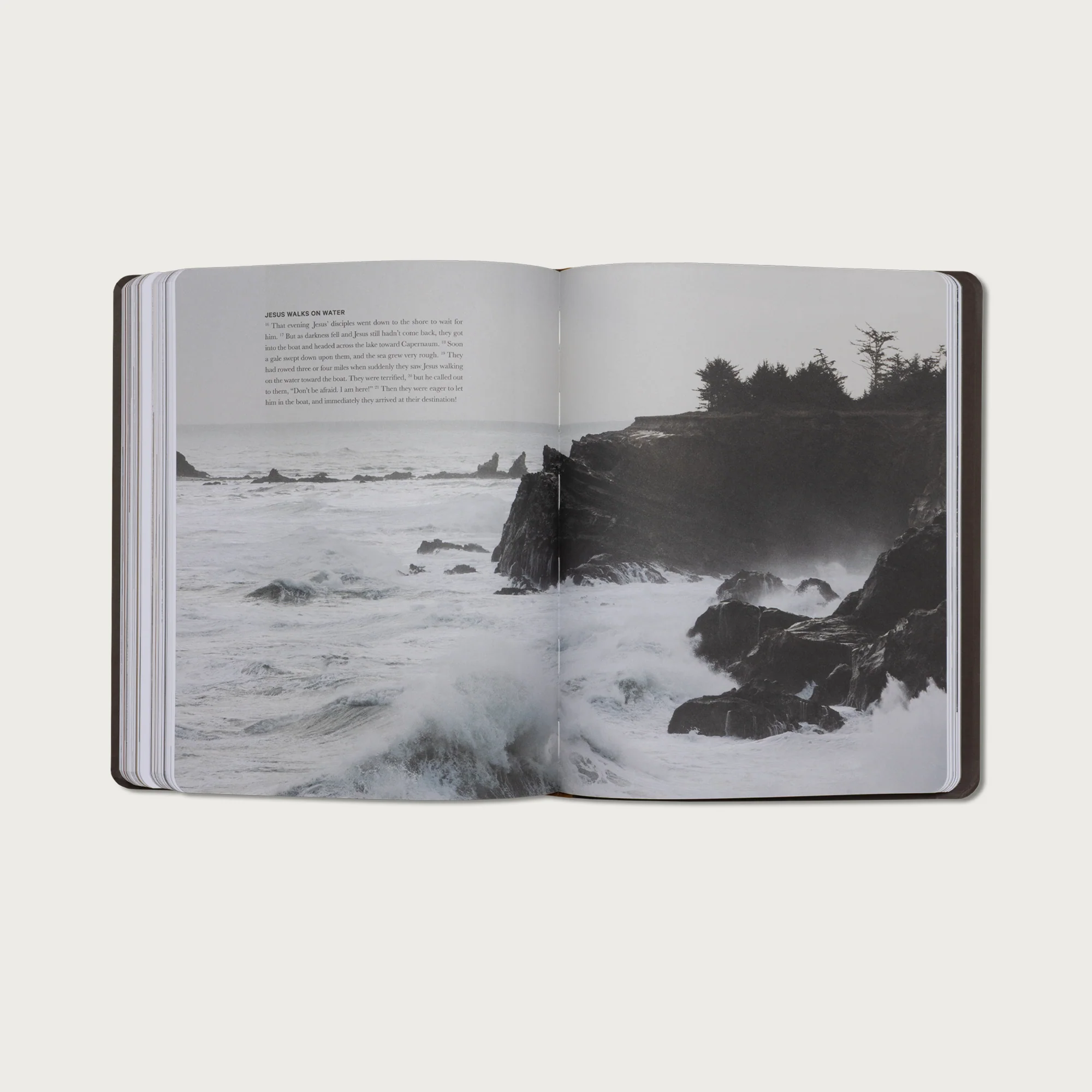 The Gospels - Image 10