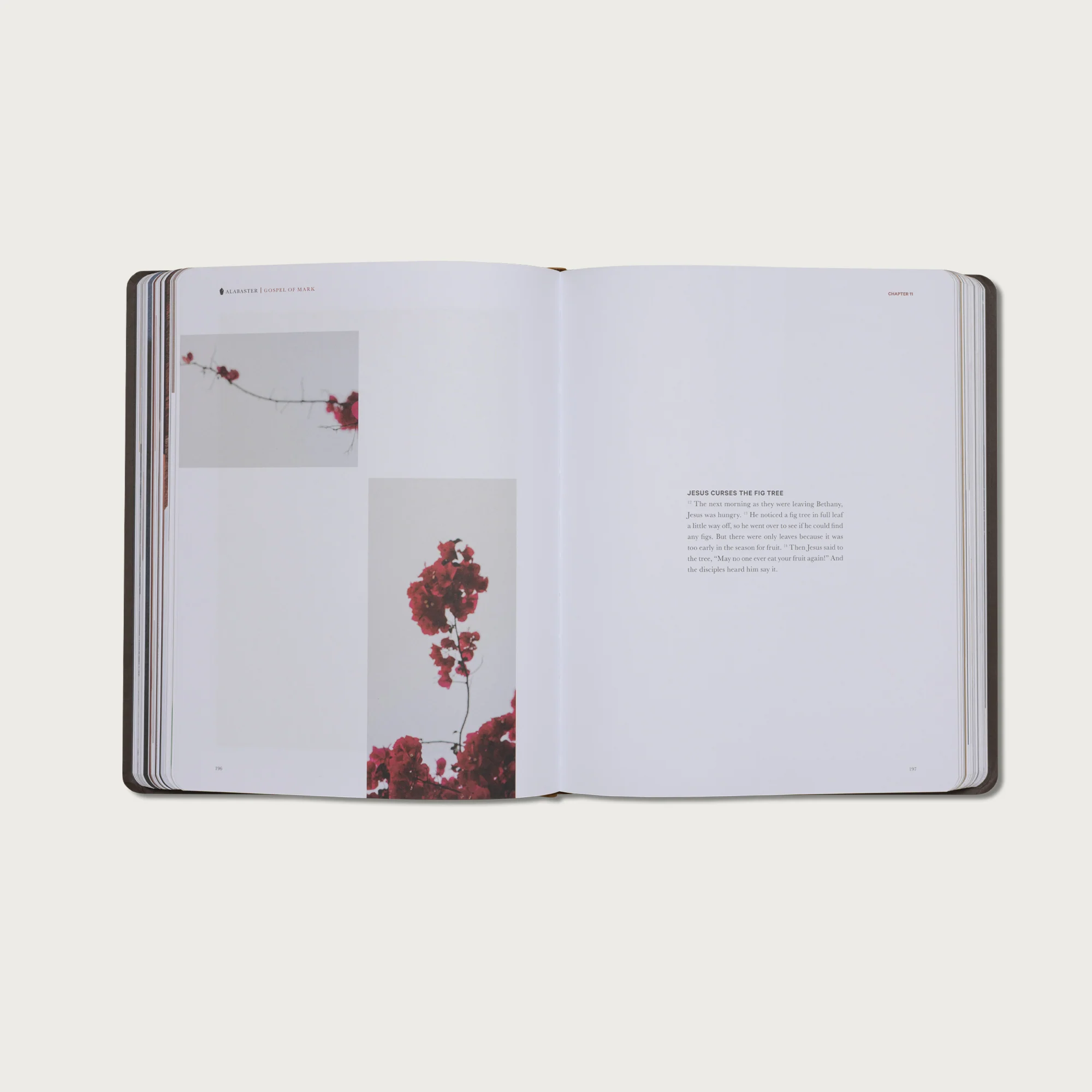 The Gospels - Image 12
