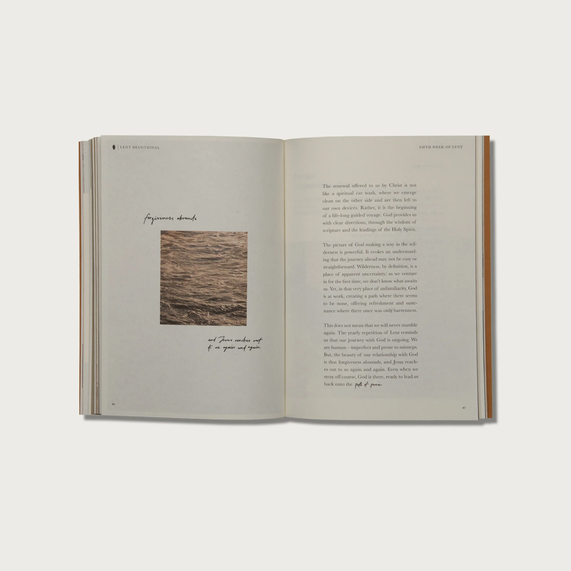 Lent: A Devotional Guide to Anticipating Easter - Image 4