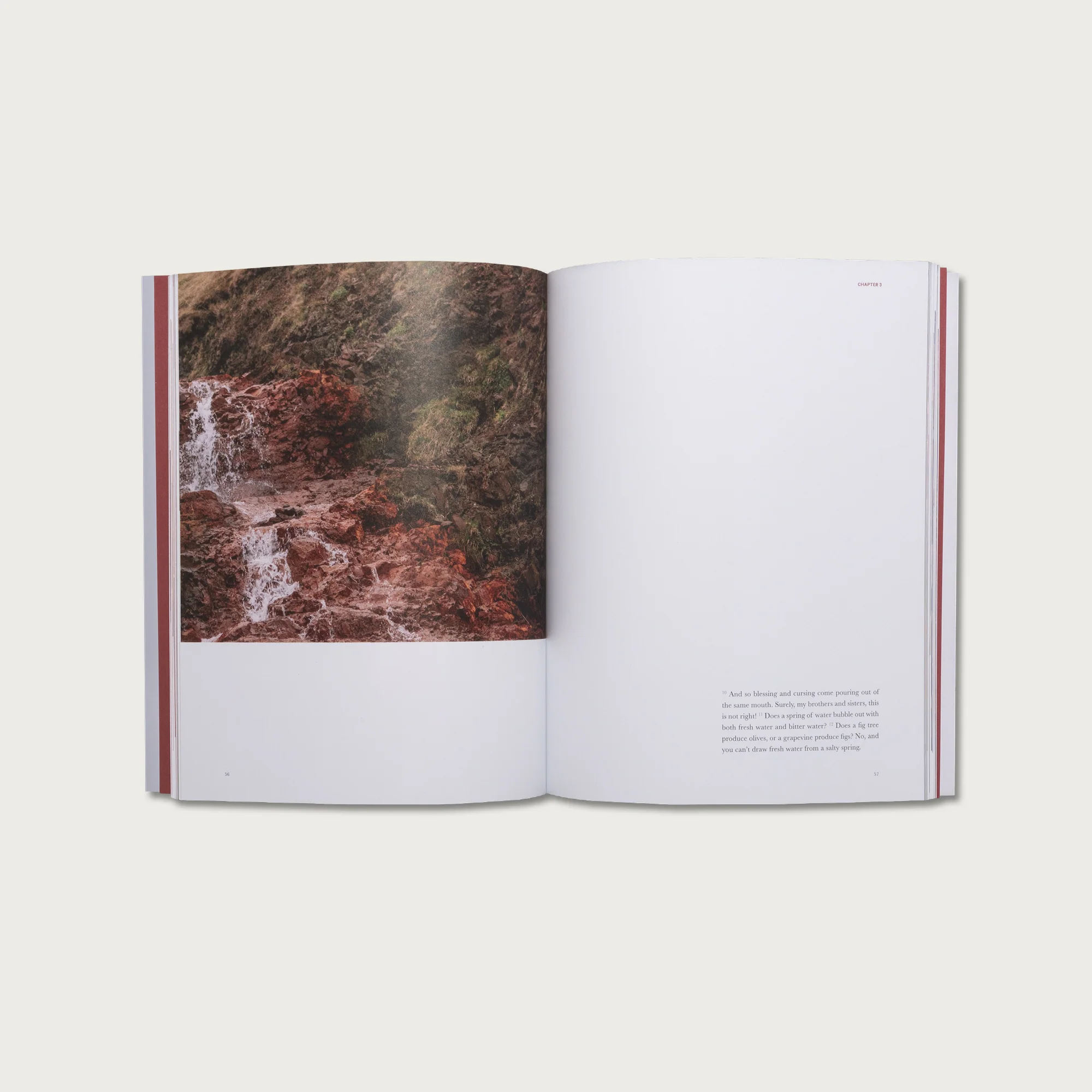 The Book of James - Image 4