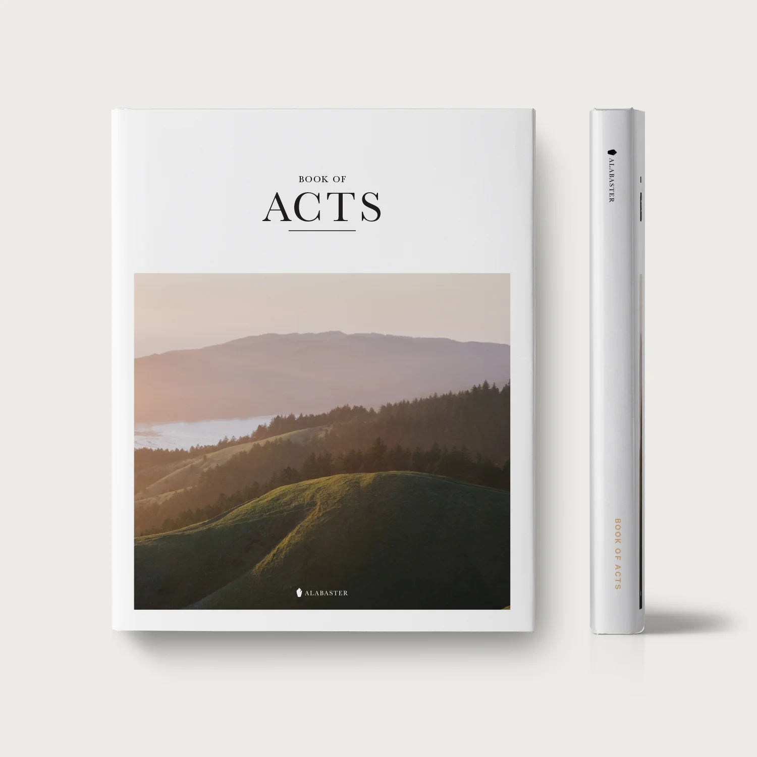 New Testament Collection - Image 14