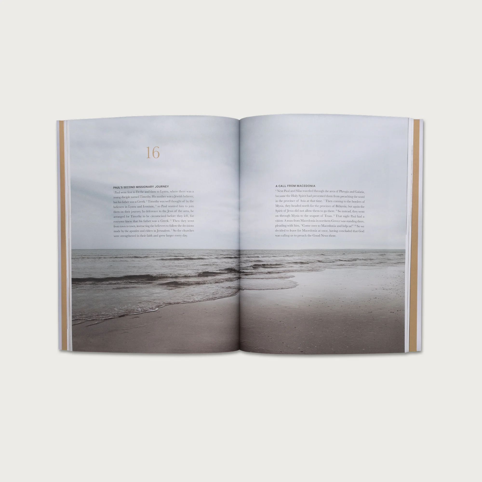 New Testament Collection - Image 16