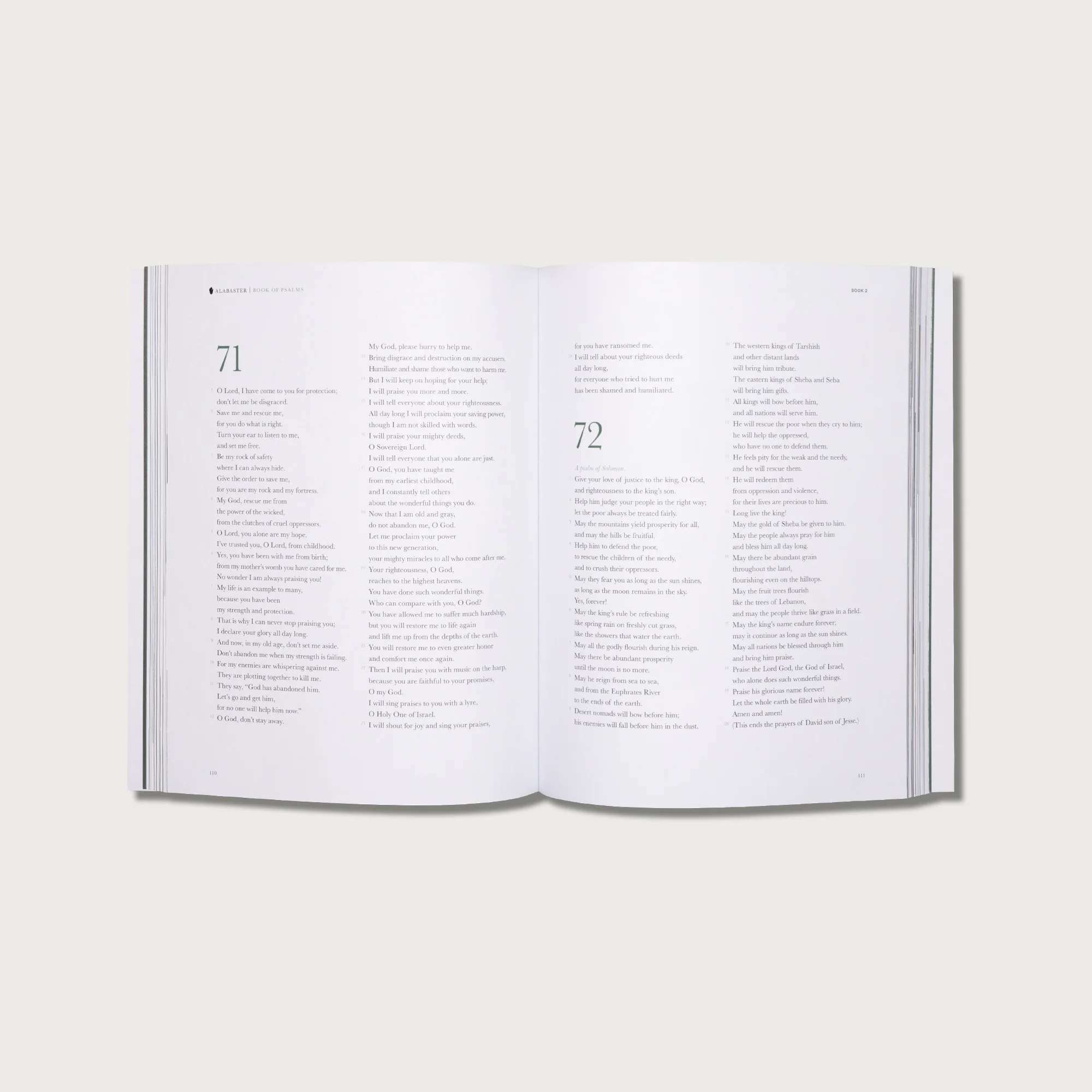 The Book of Psalms - Spanish Version (Libro De Los Salmos) - Image 3