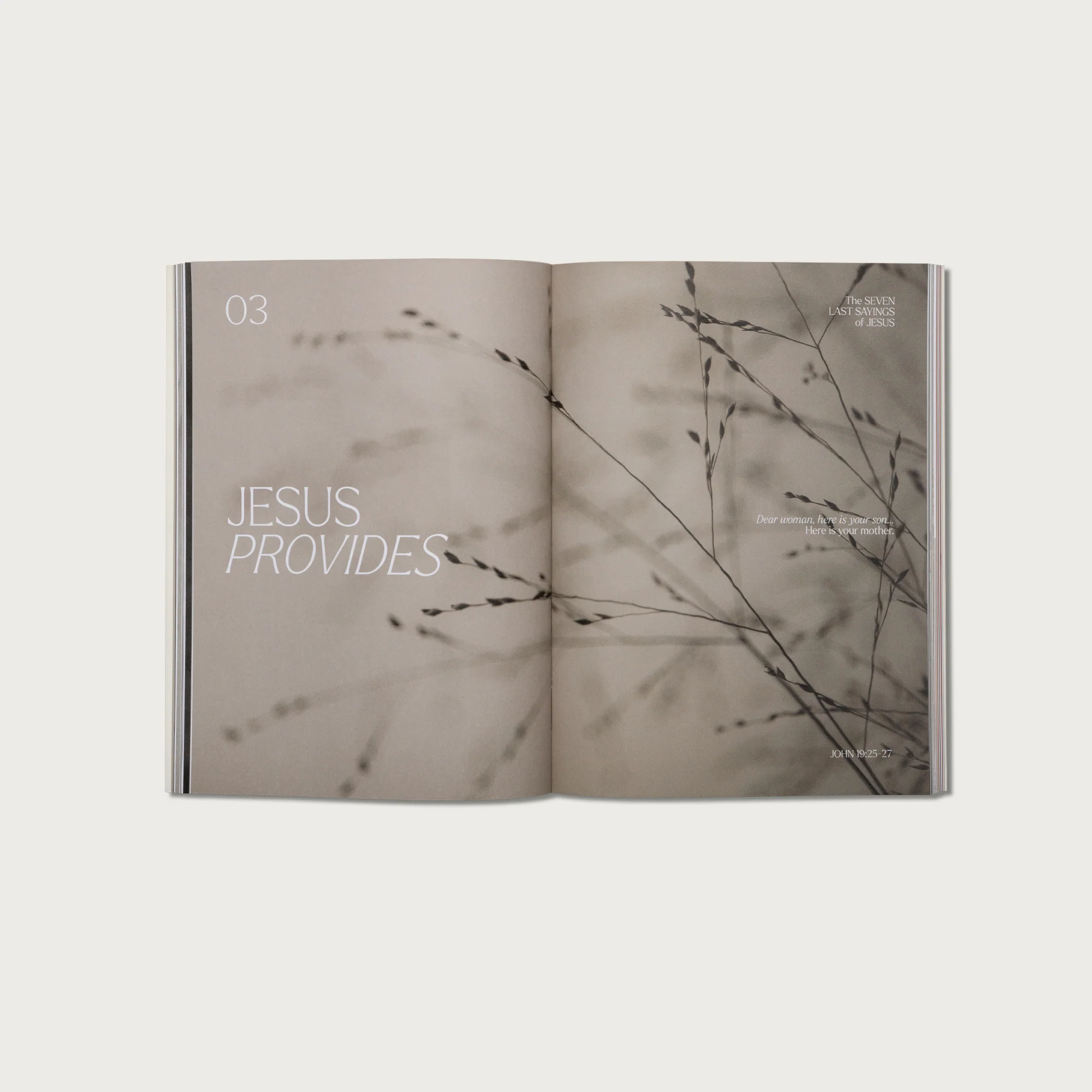 The 7 Last Sayings of Jesus: A 40-Day Bible Devotional for Journeying to the Cross - Image 3