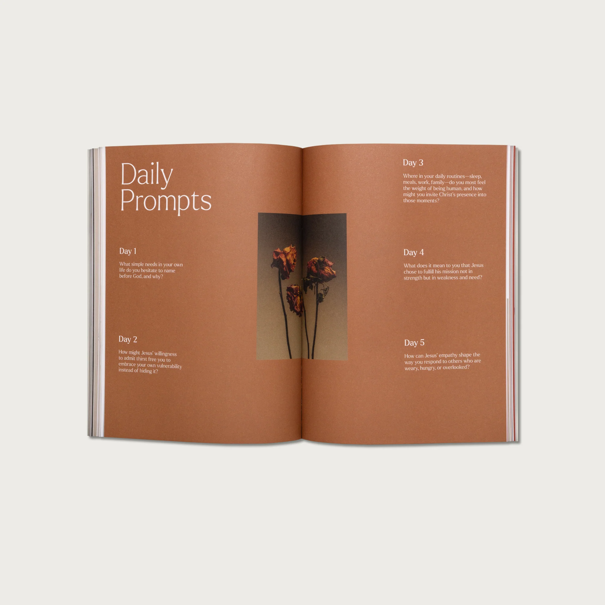 The 7 Last Sayings of Jesus: A 40-Day Bible Devotional for Journeying to the Cross - Image 5