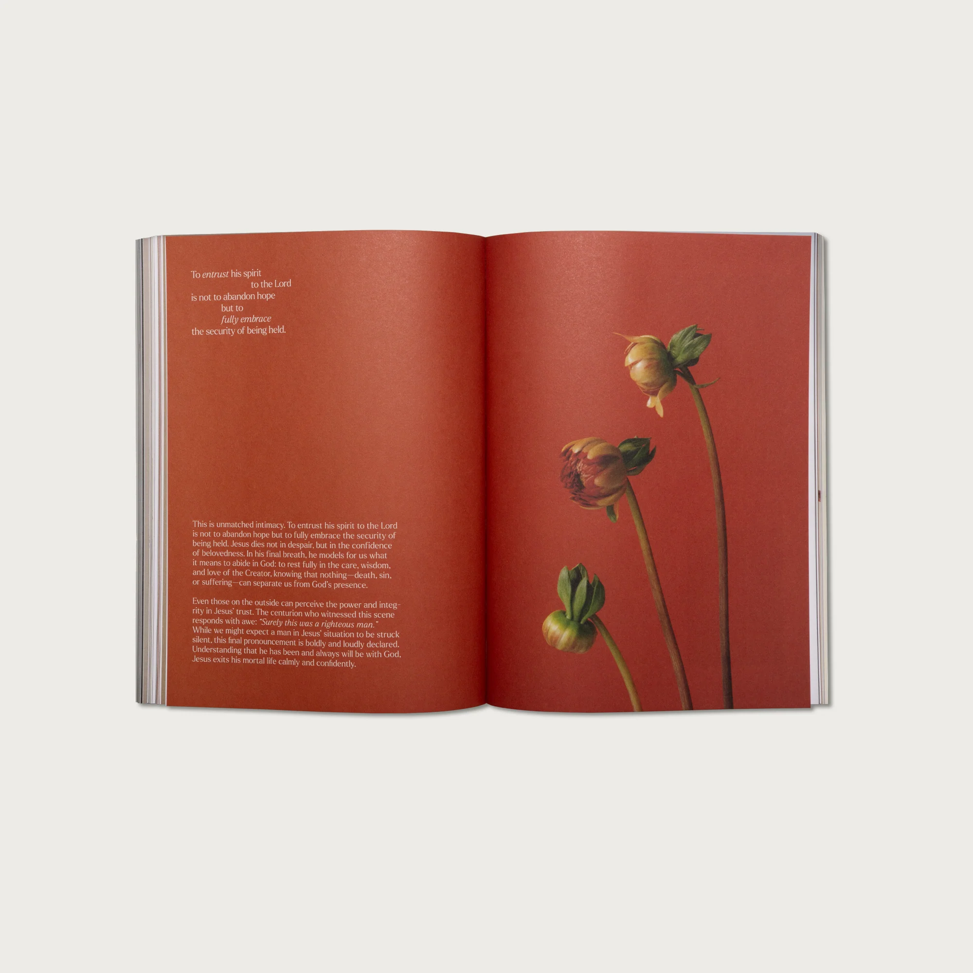 The 7 Last Sayings of Jesus: A 40-Day Bible Devotional for Journeying to the Cross - Image 7