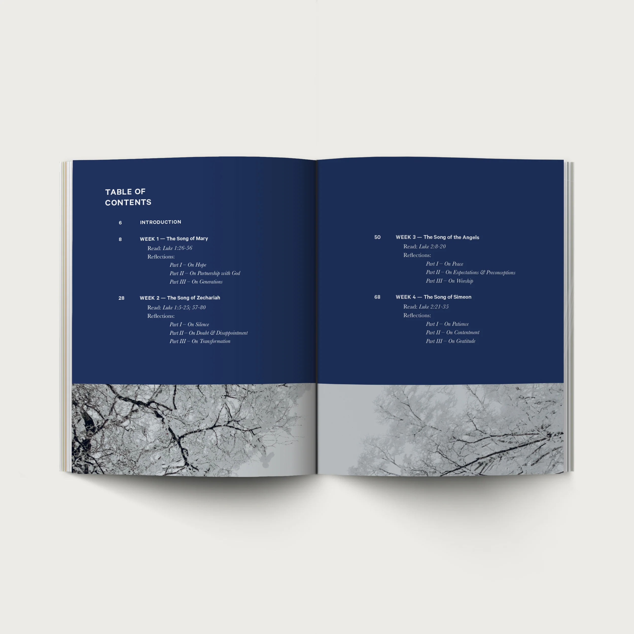 The Advent Devotional - Image 3