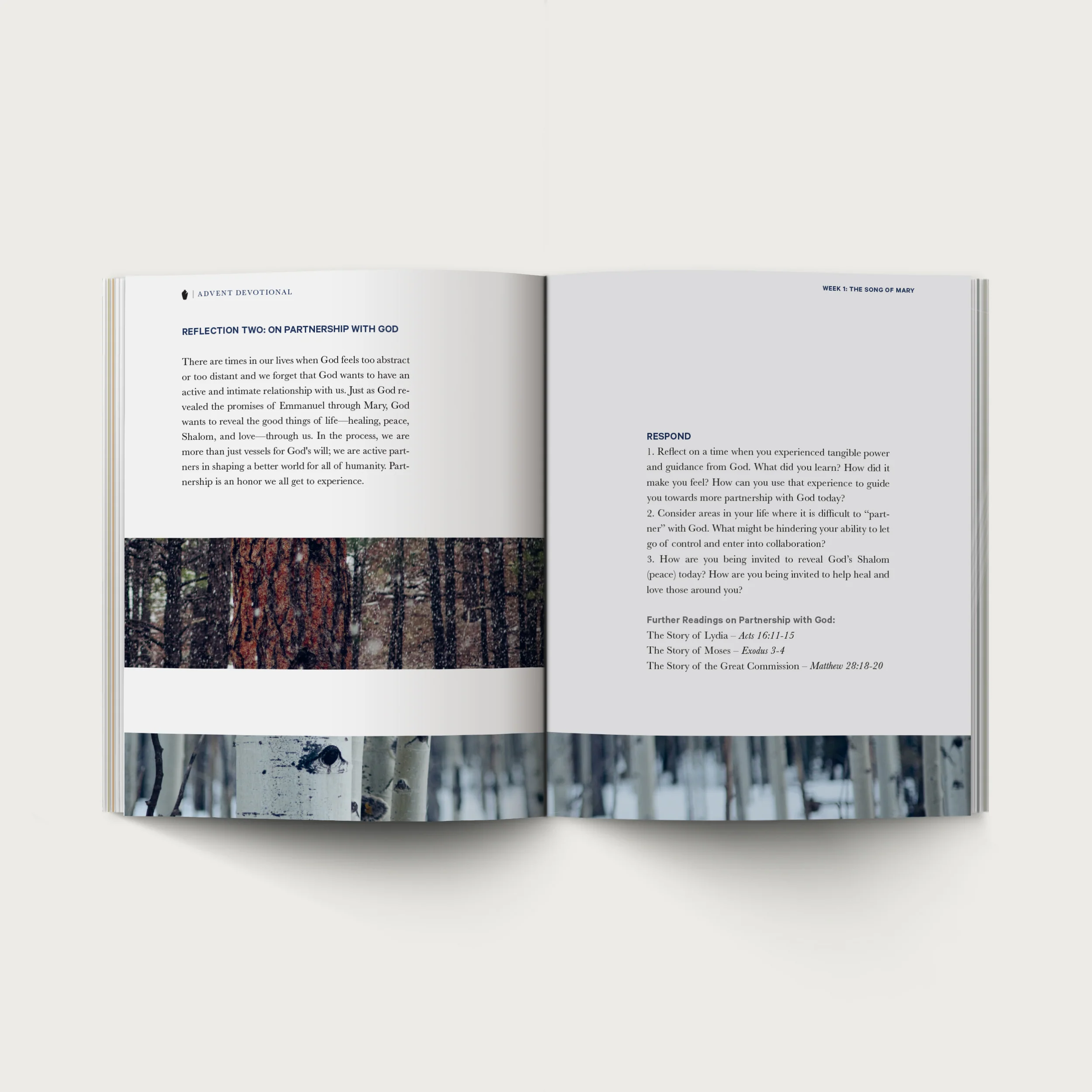 The Advent Devotional - Image 4