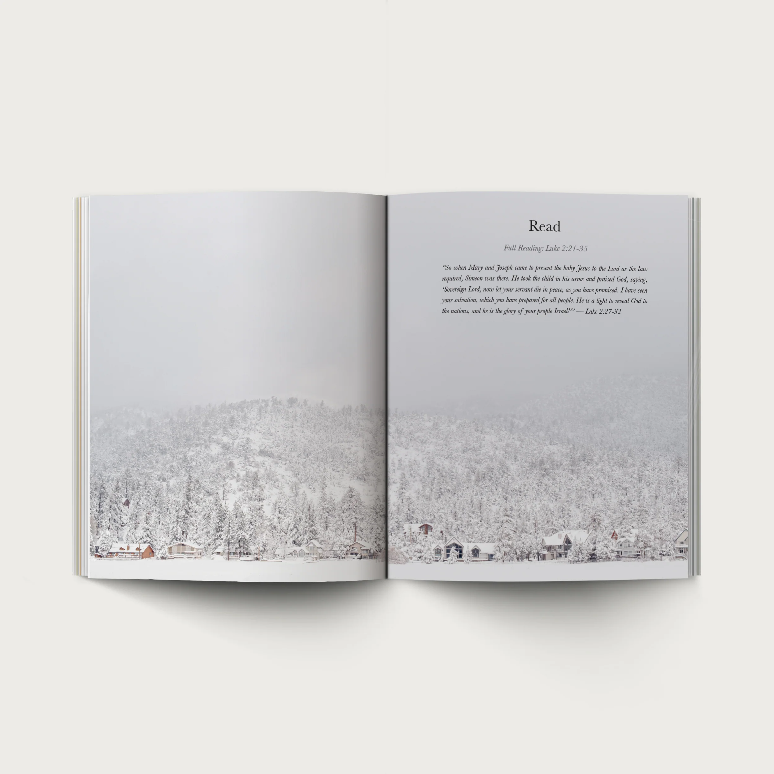 The Advent Devotional - Image 5