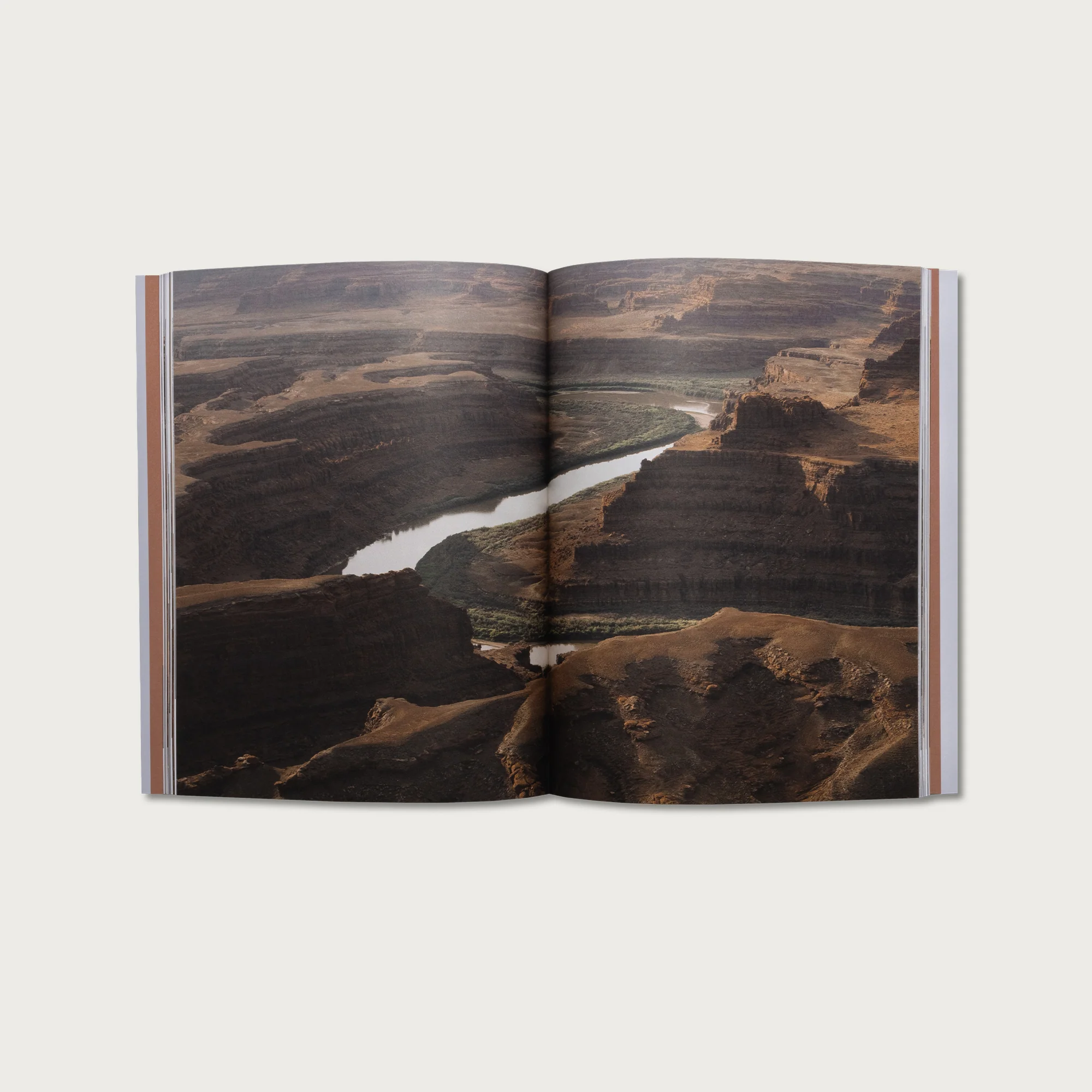 The Book of Philippians - Image 5