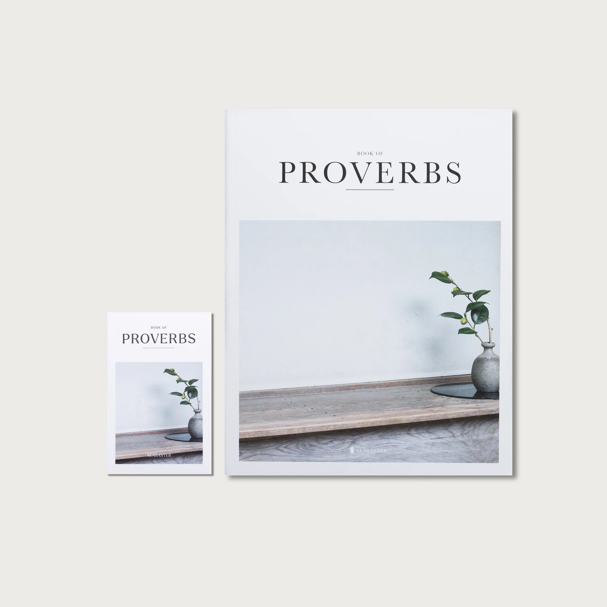The Book of Proverbs - Image 8
