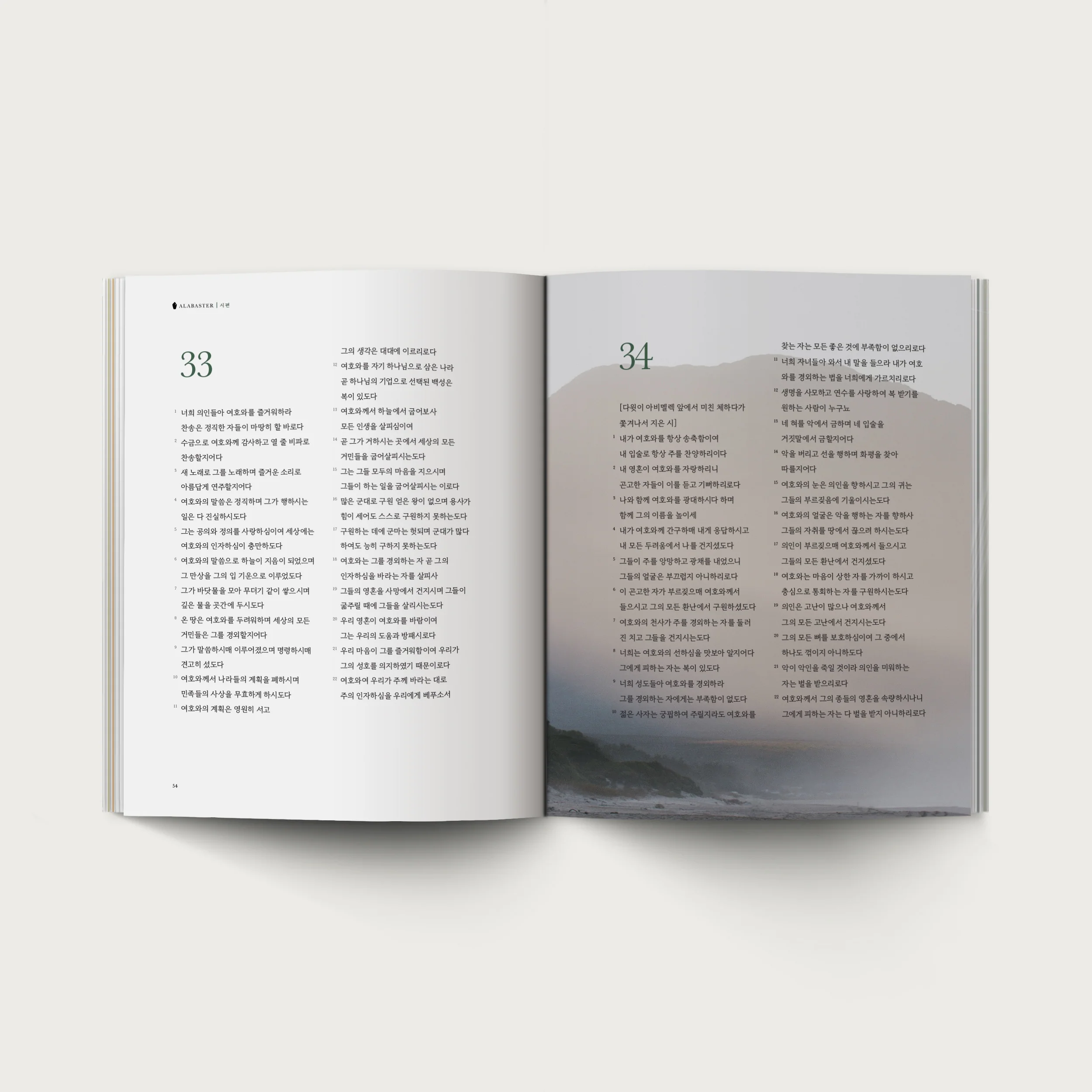 The Book of Psalms - Korean Version (시편) - Image 6