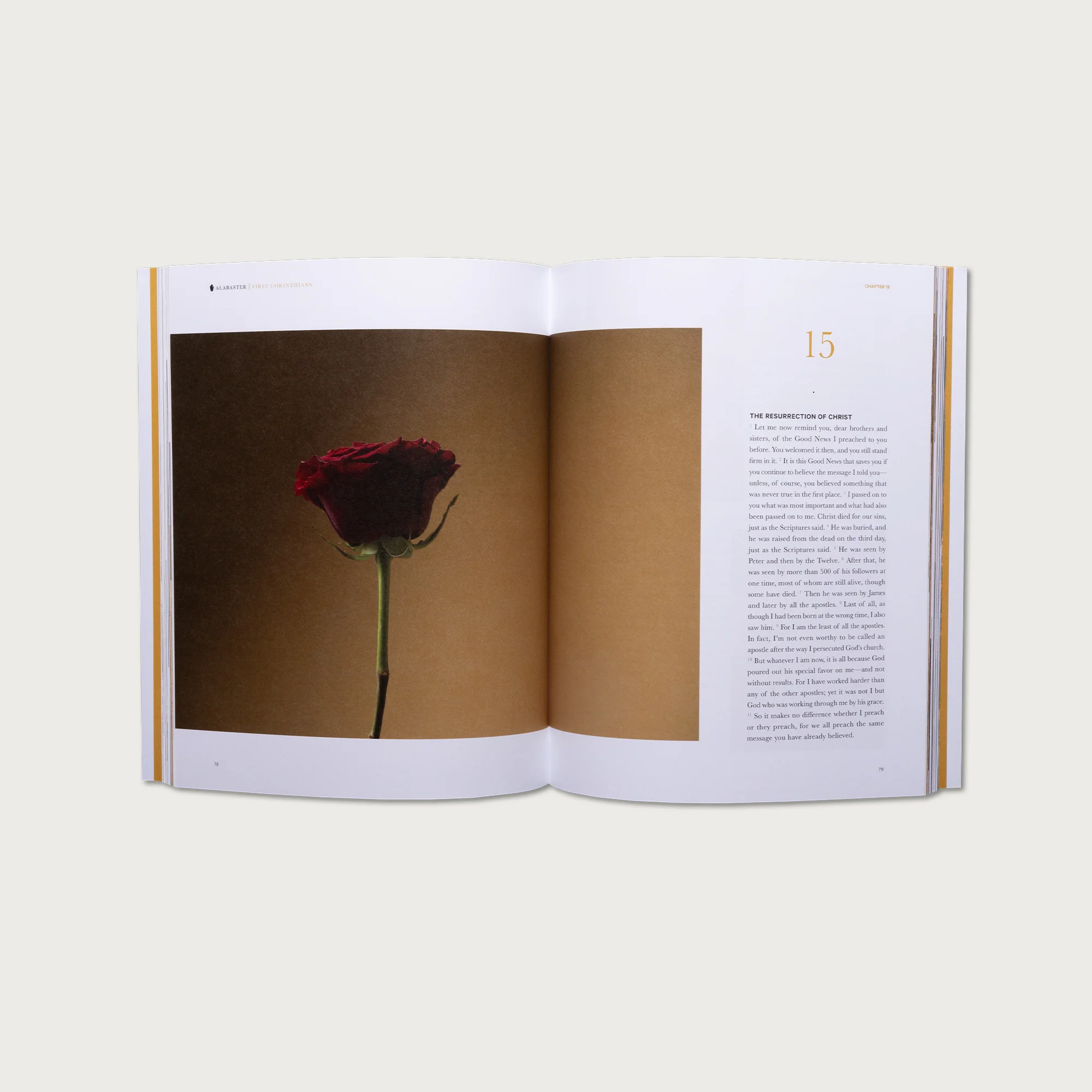 The Complete Bible Collection - Image 5