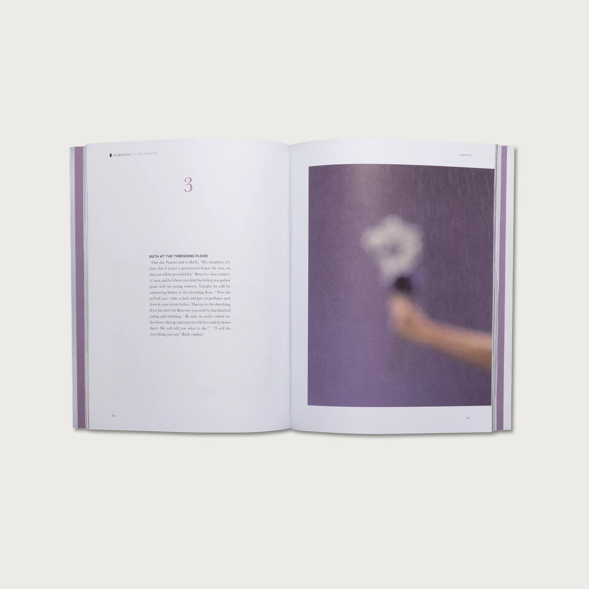 The Complete Bible Collection - Image 6