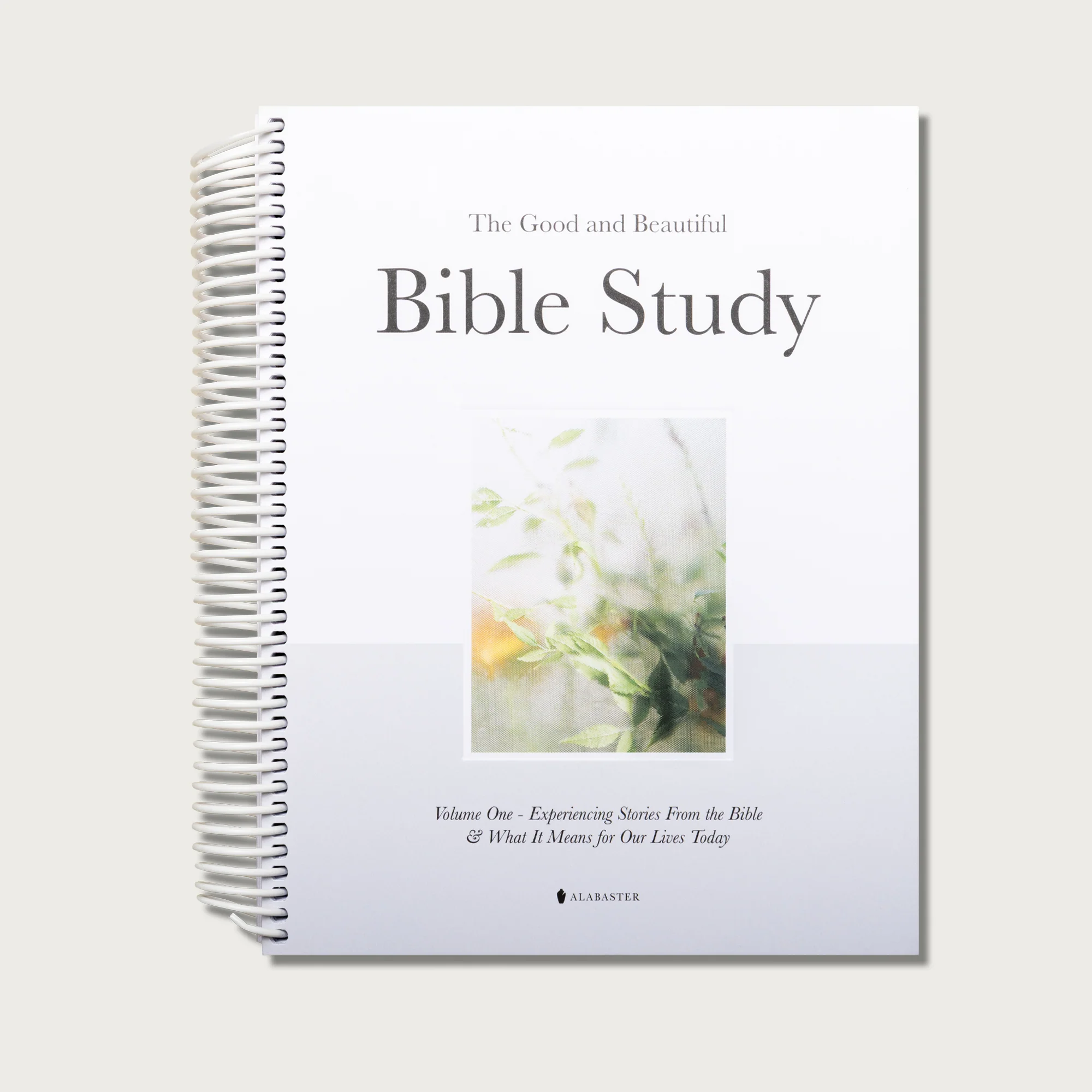 The Good and Beautiful Bible Study - Volume 1 - Image 18