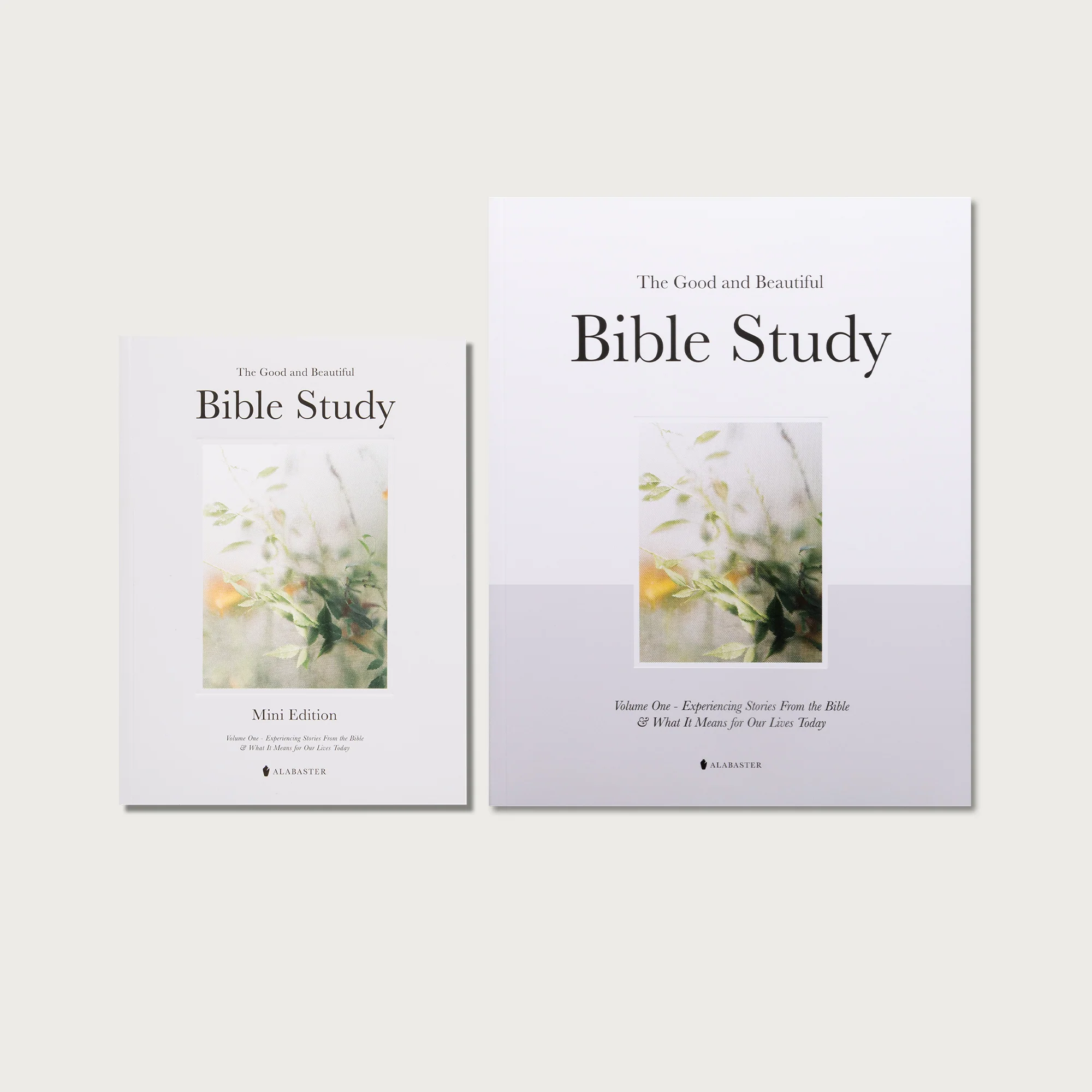 The Good and Beautiful Bible Study - Volume 1 - Image 7