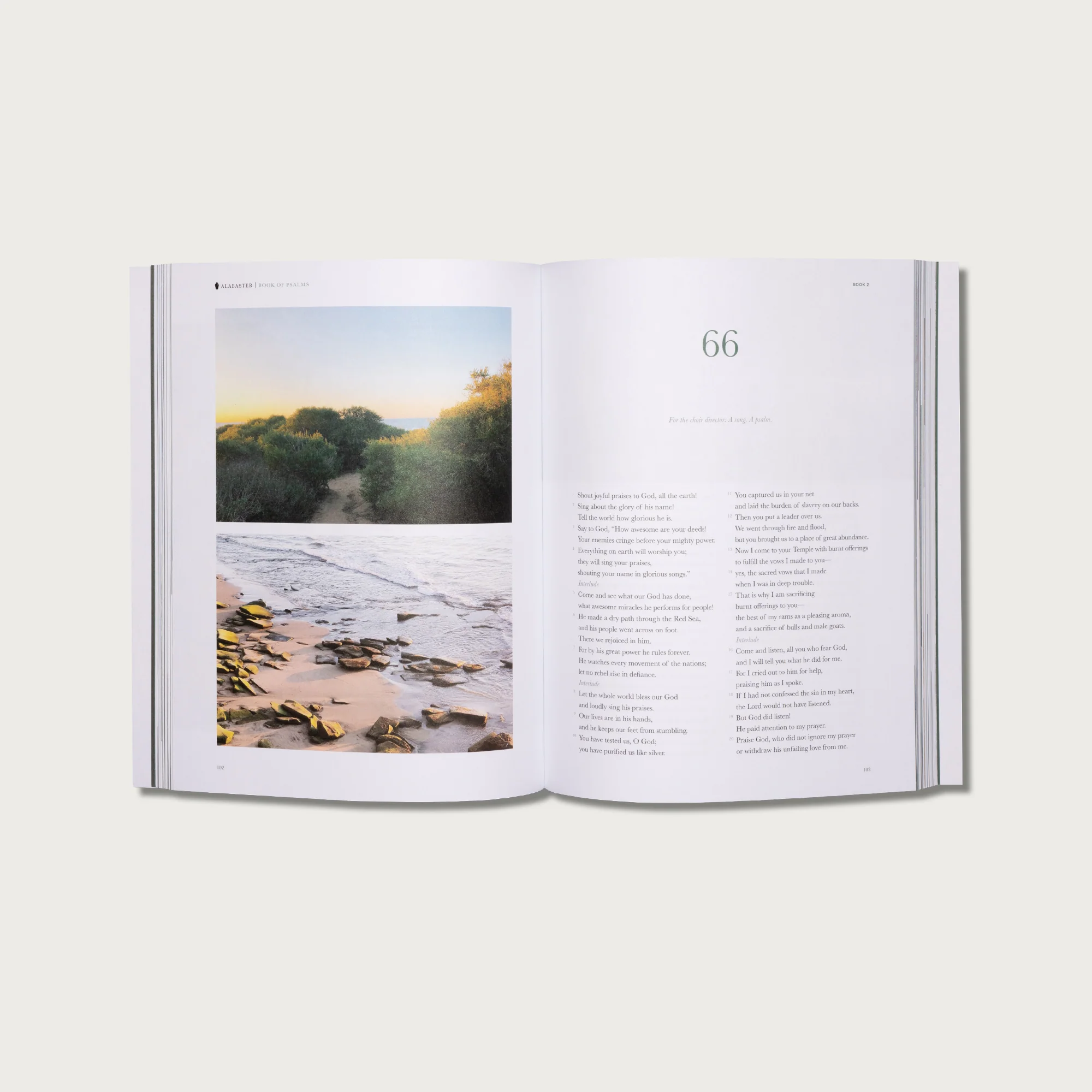 The Book of Psalms - Spanish Version (Libro De Los Salmos) - Image 4