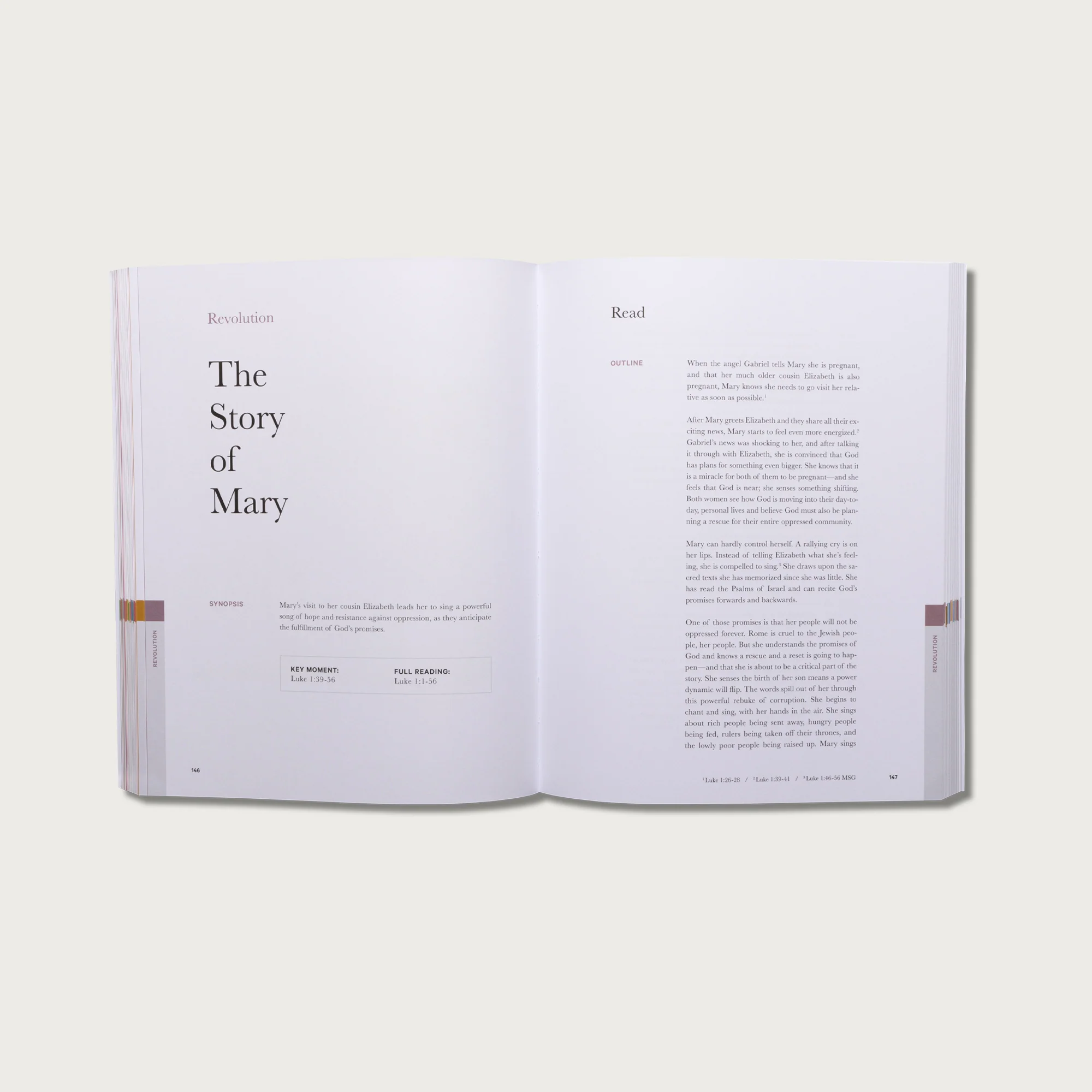 The Study Collection - Image 10