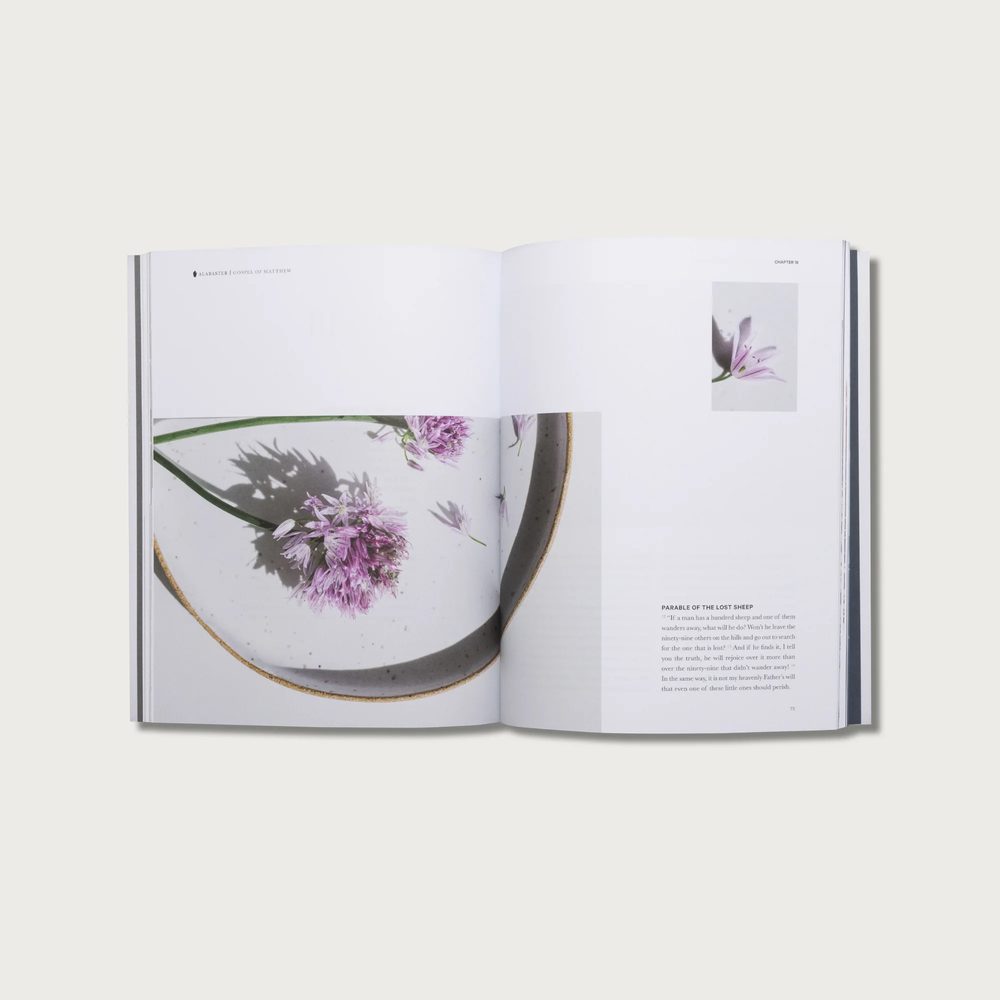 The Study Collection - Image 4