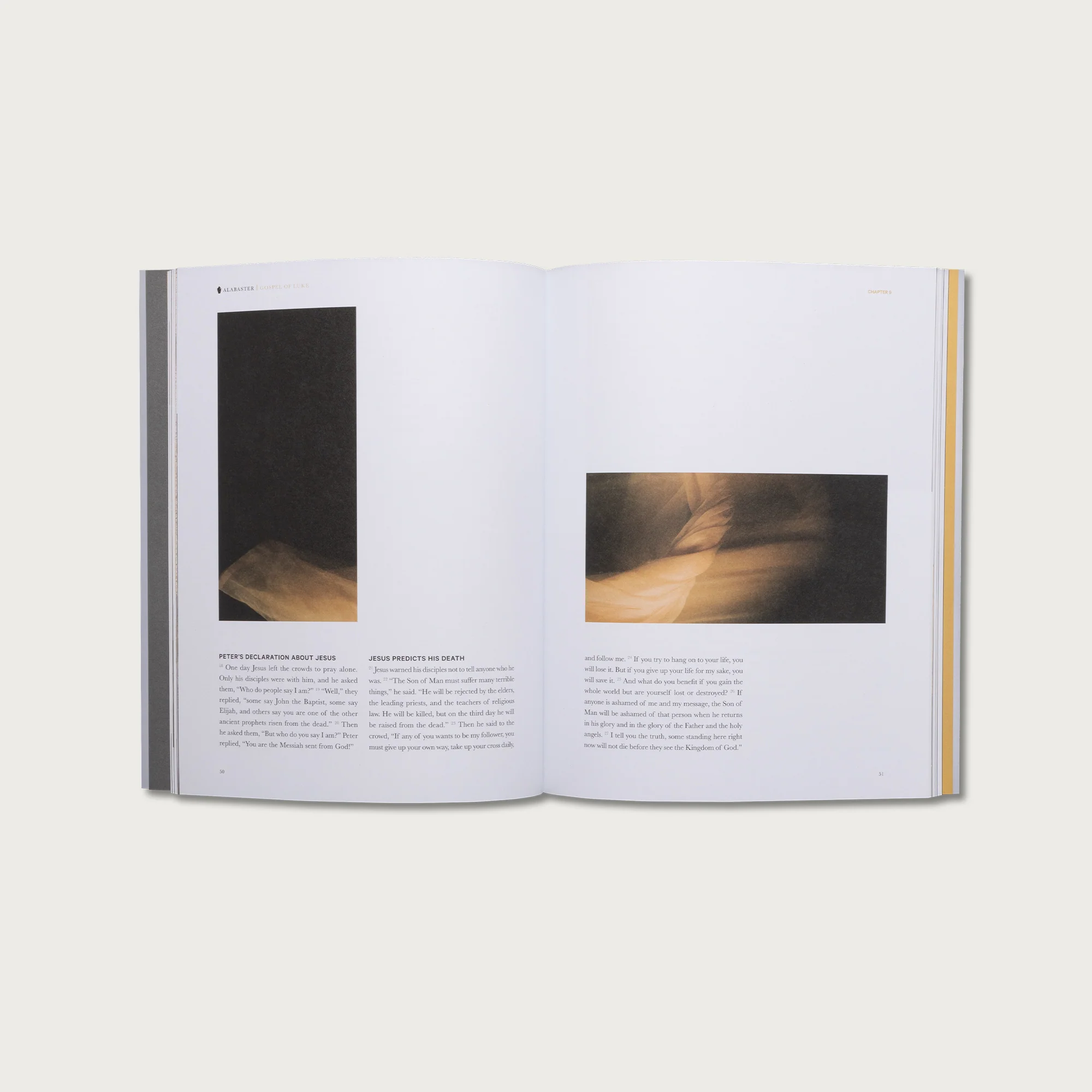 The Study Collection - Image 6