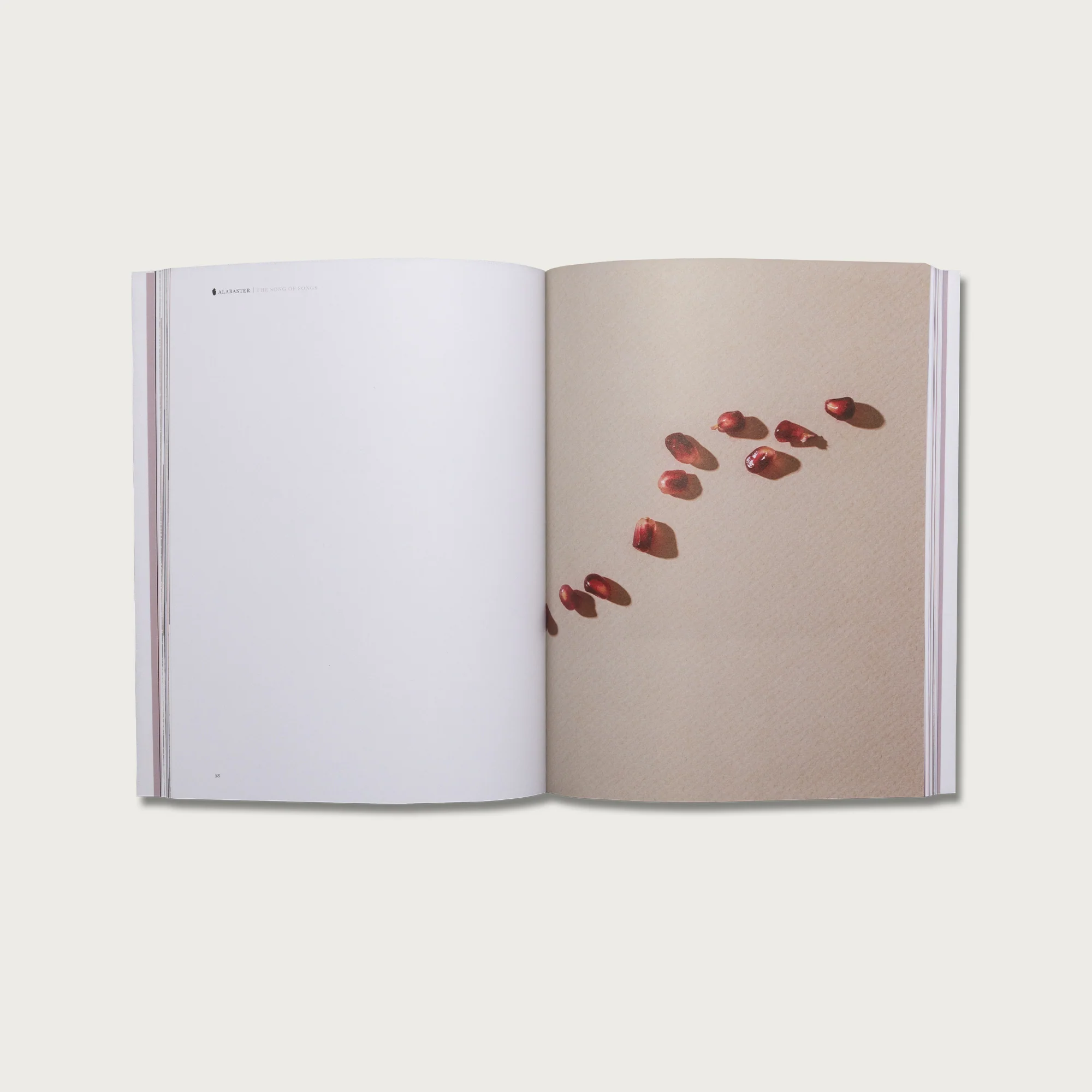 Wisdom Collection - Image 10