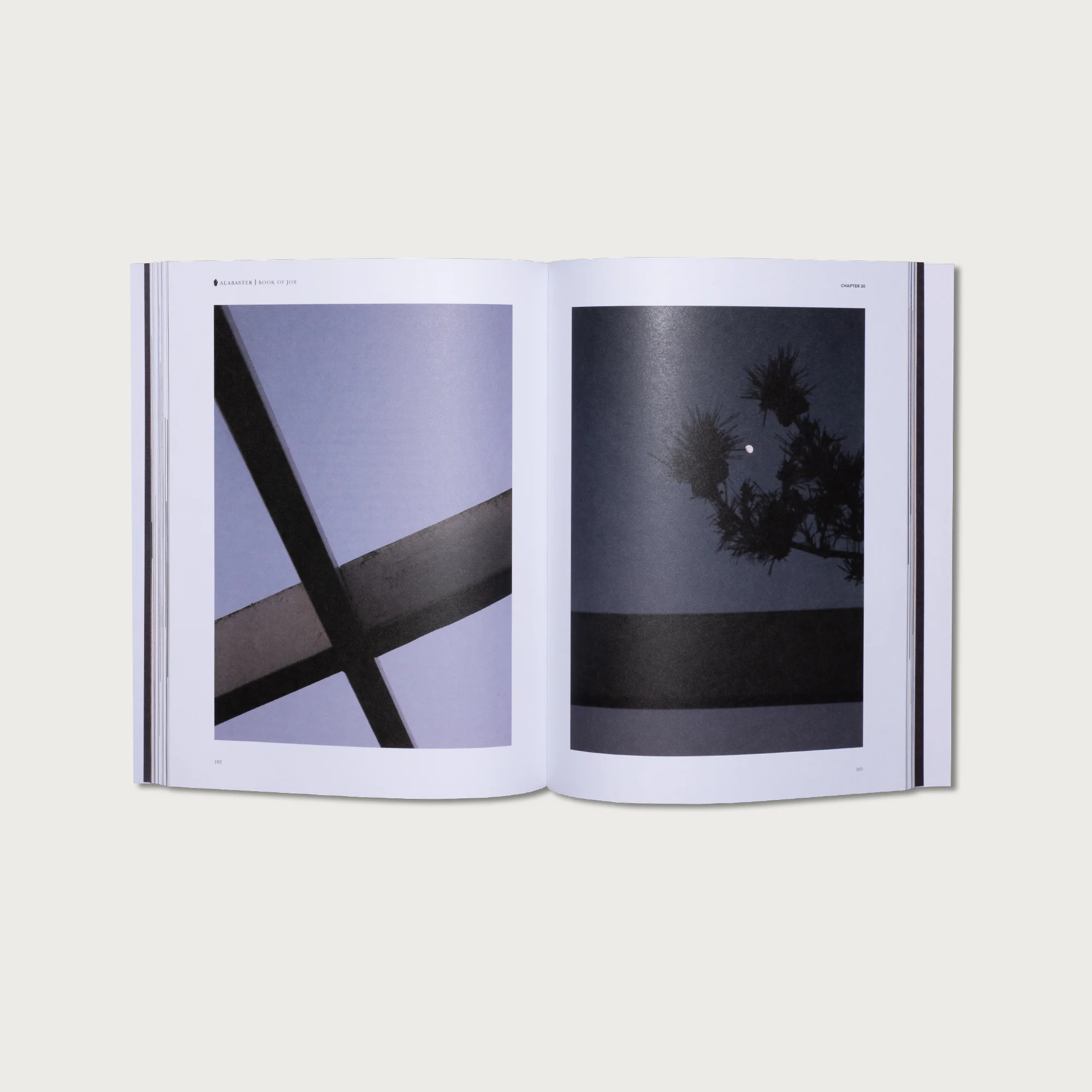 Wisdom Collection - Image 9