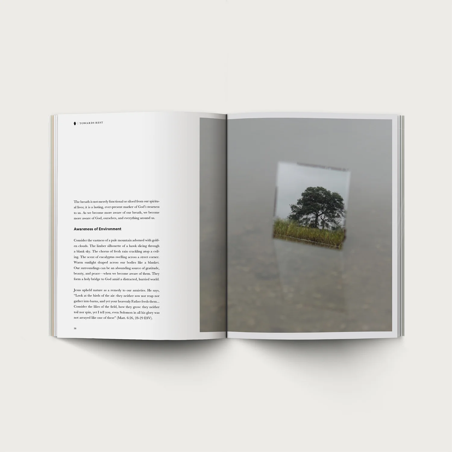 Towards Rest - Image 4