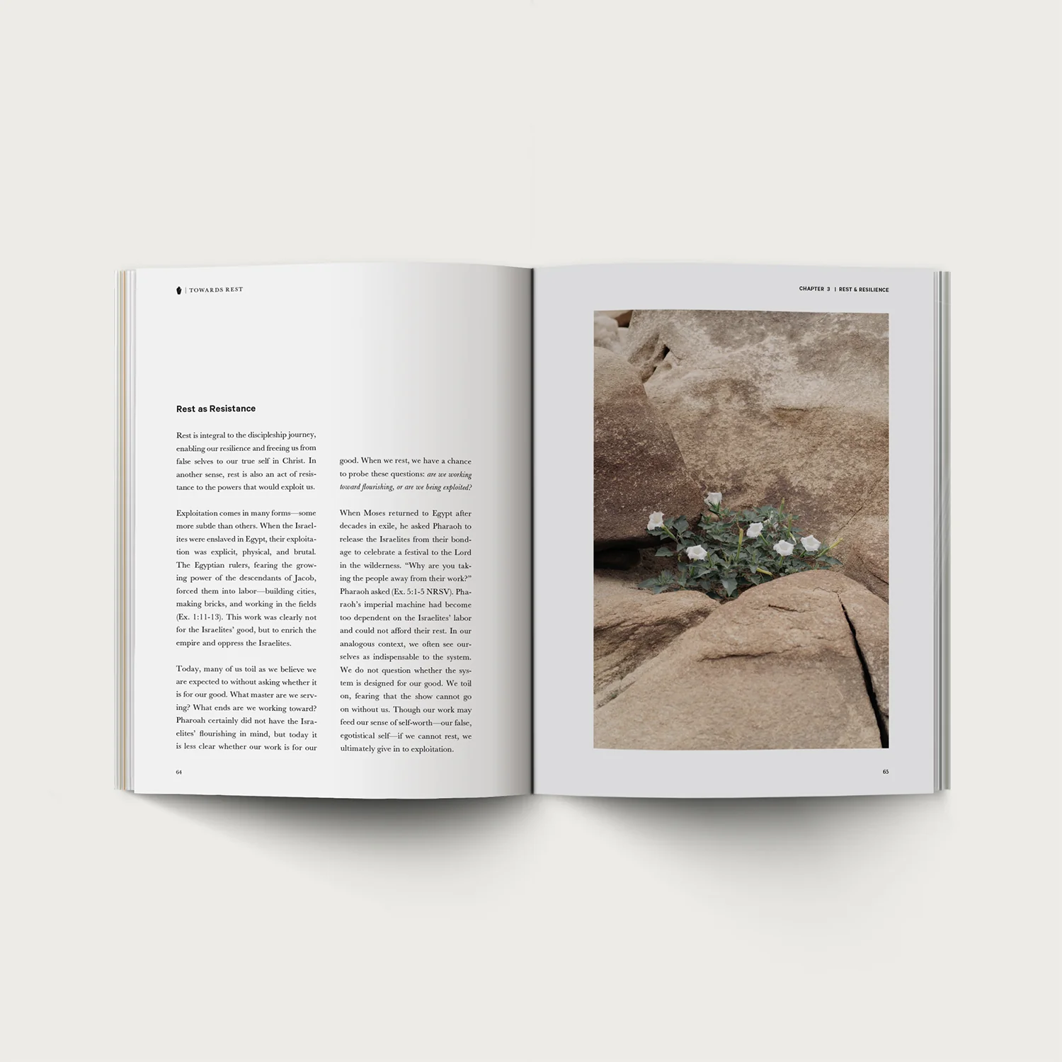 Towards Rest - Image 5